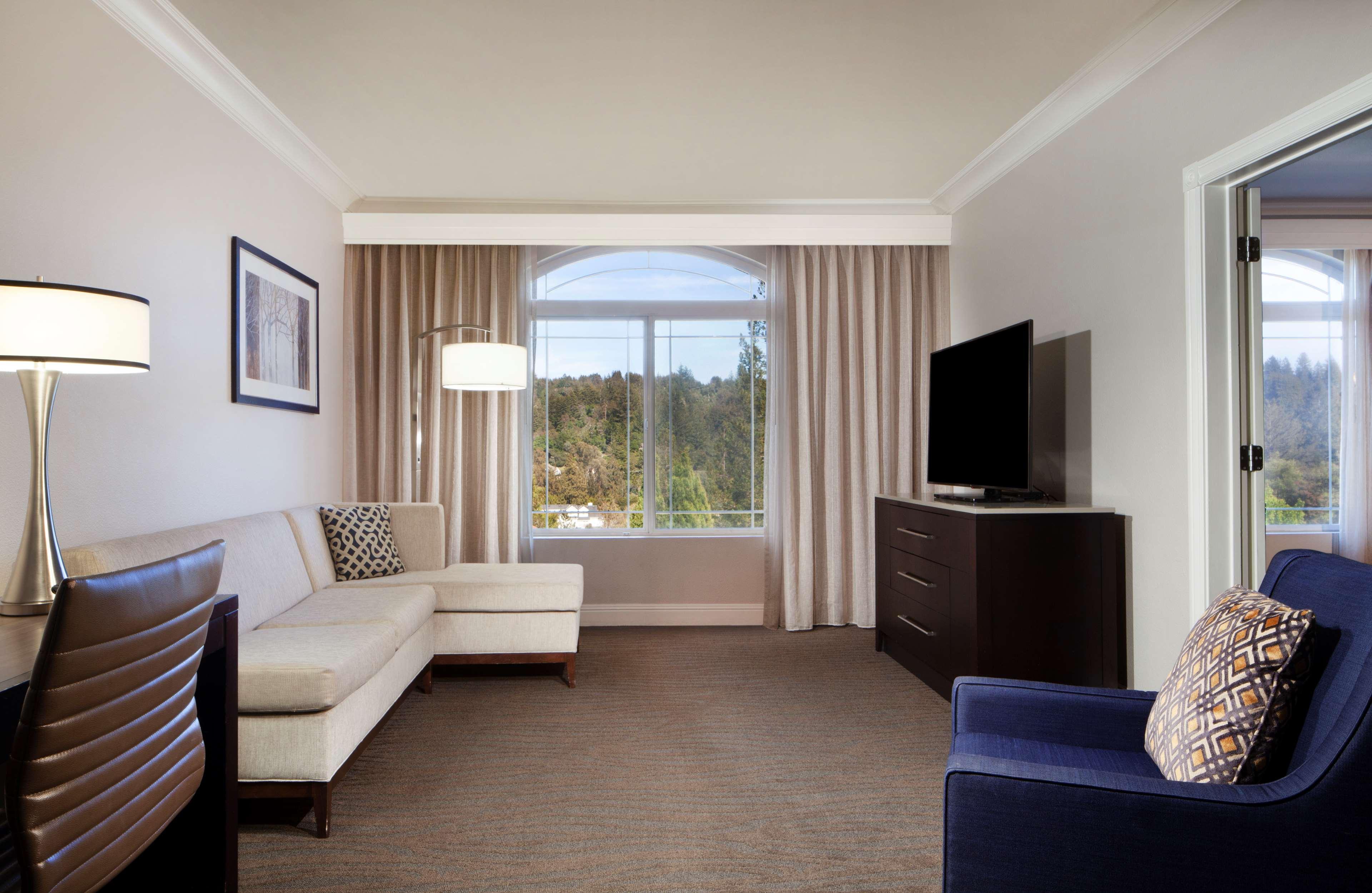 Suite King Bed One Bedroom 