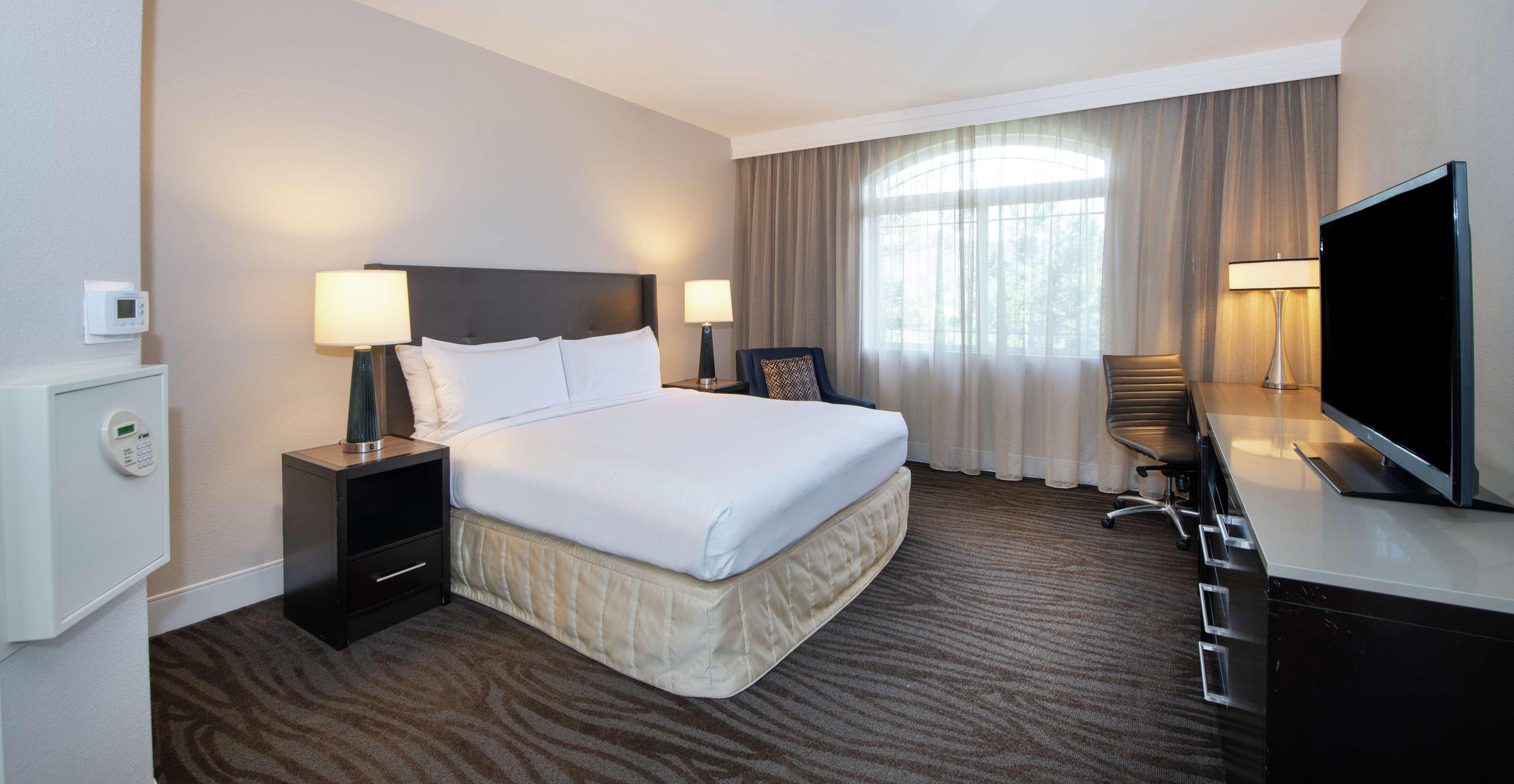 Suite King Bed One Bedroom 