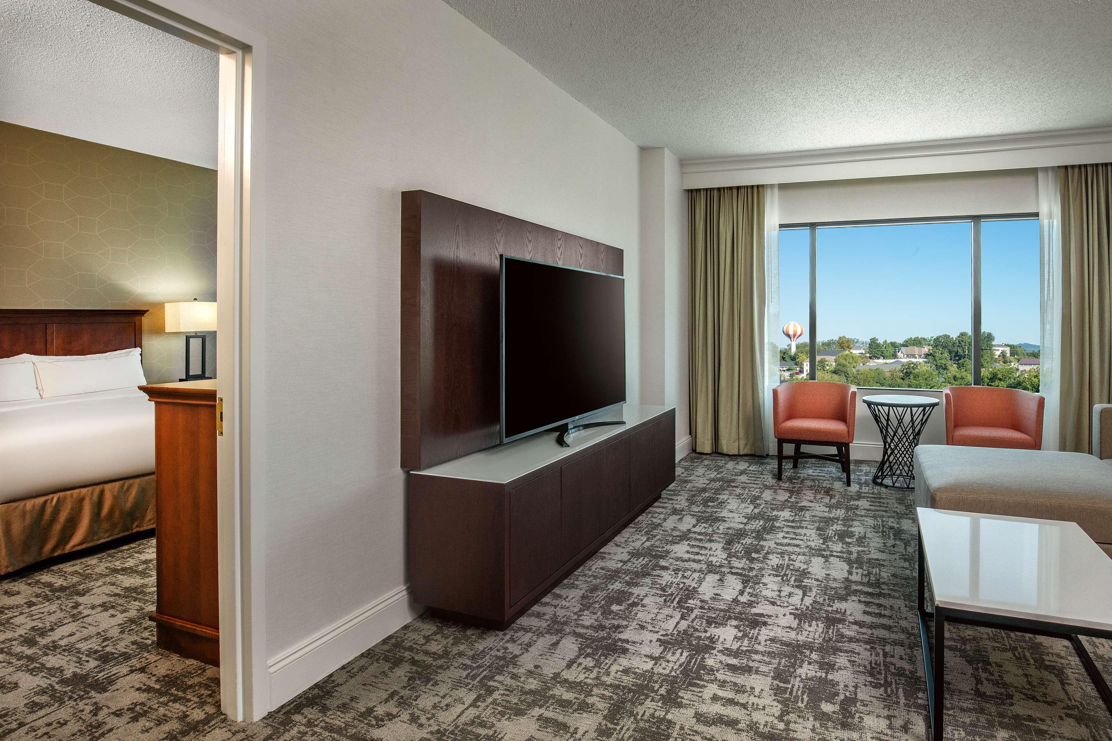 Suite King Bed One Bedroom 