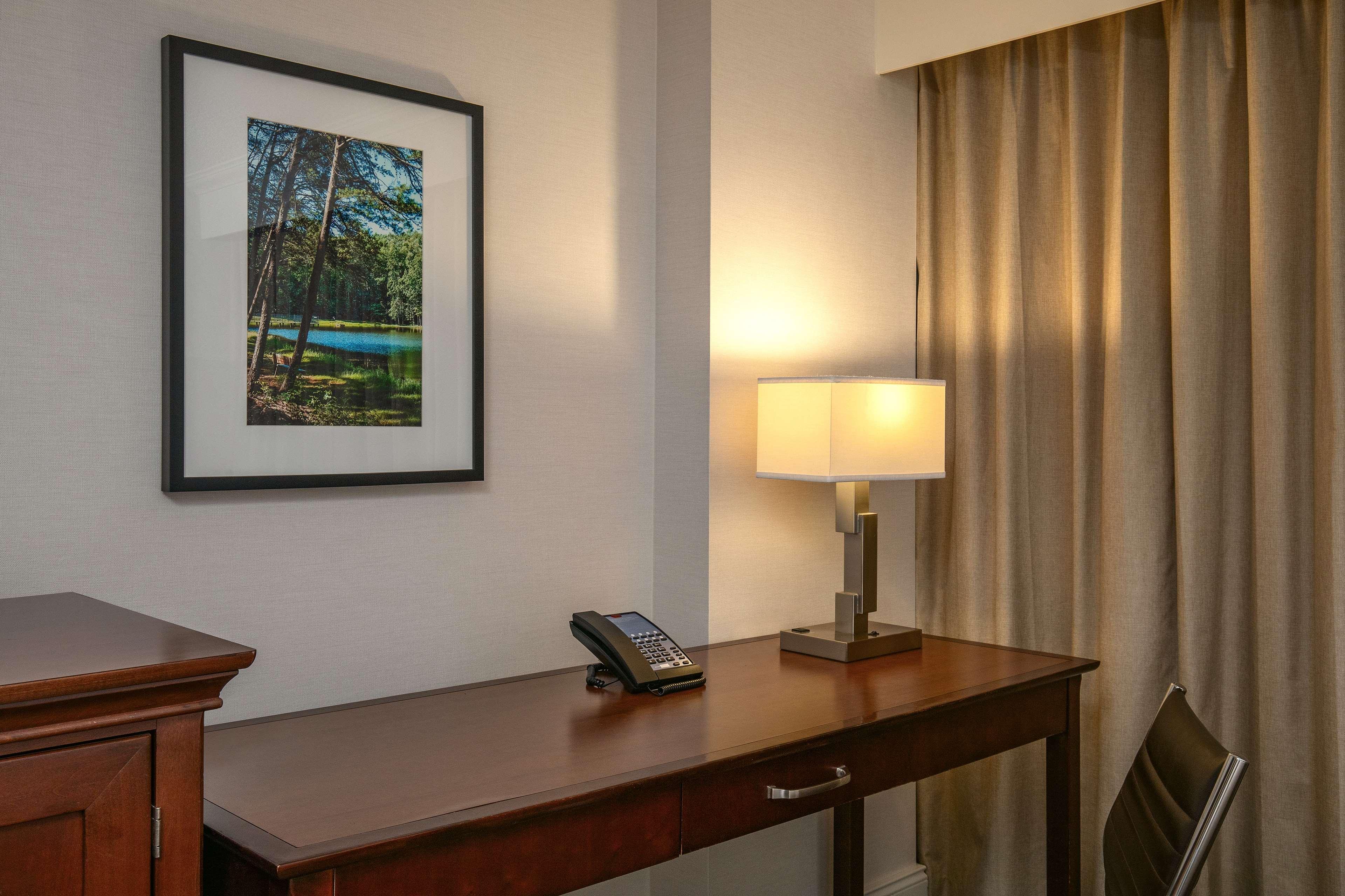 Suite King Bed One Bedroom 