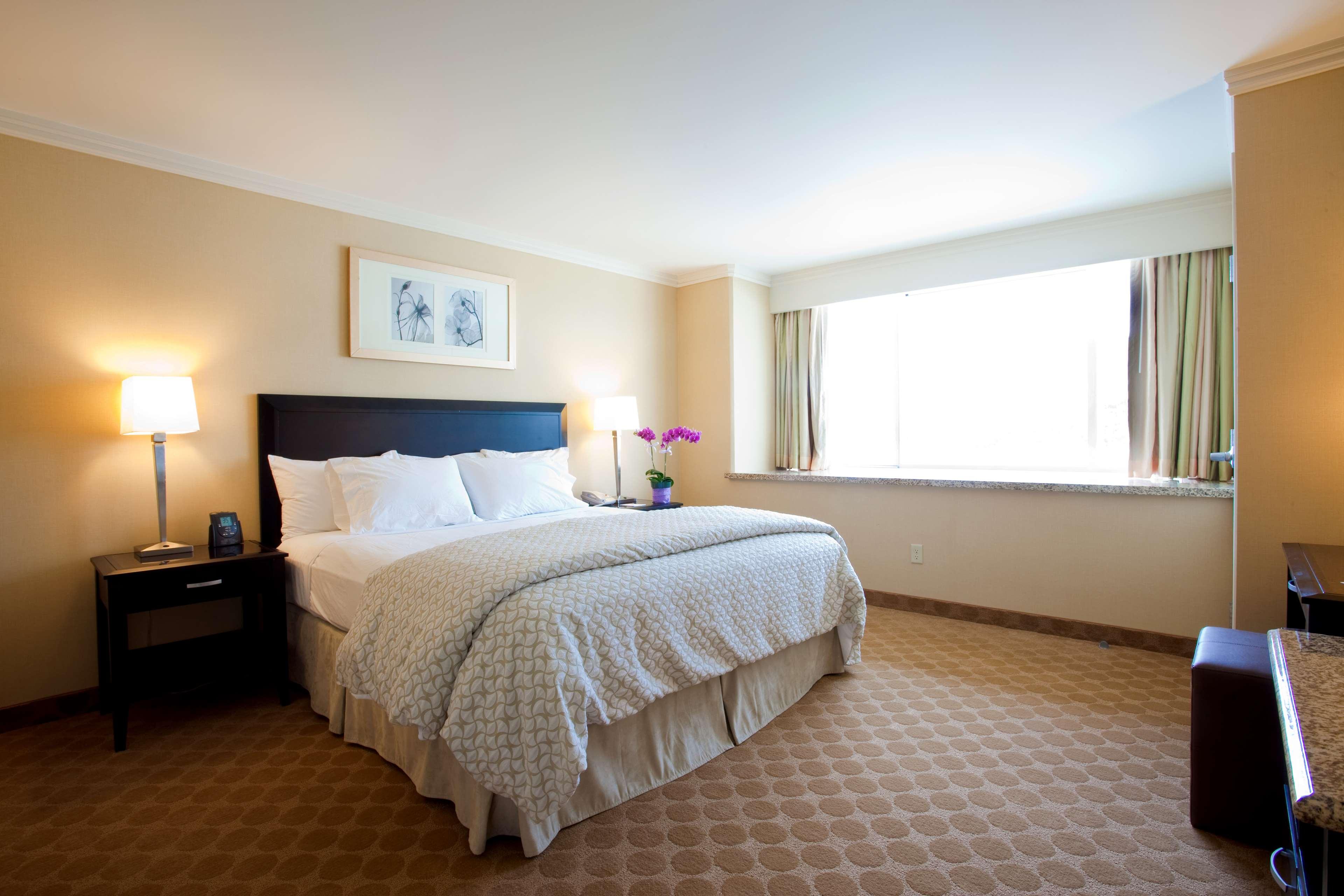 Suite King Bed Non Smoking