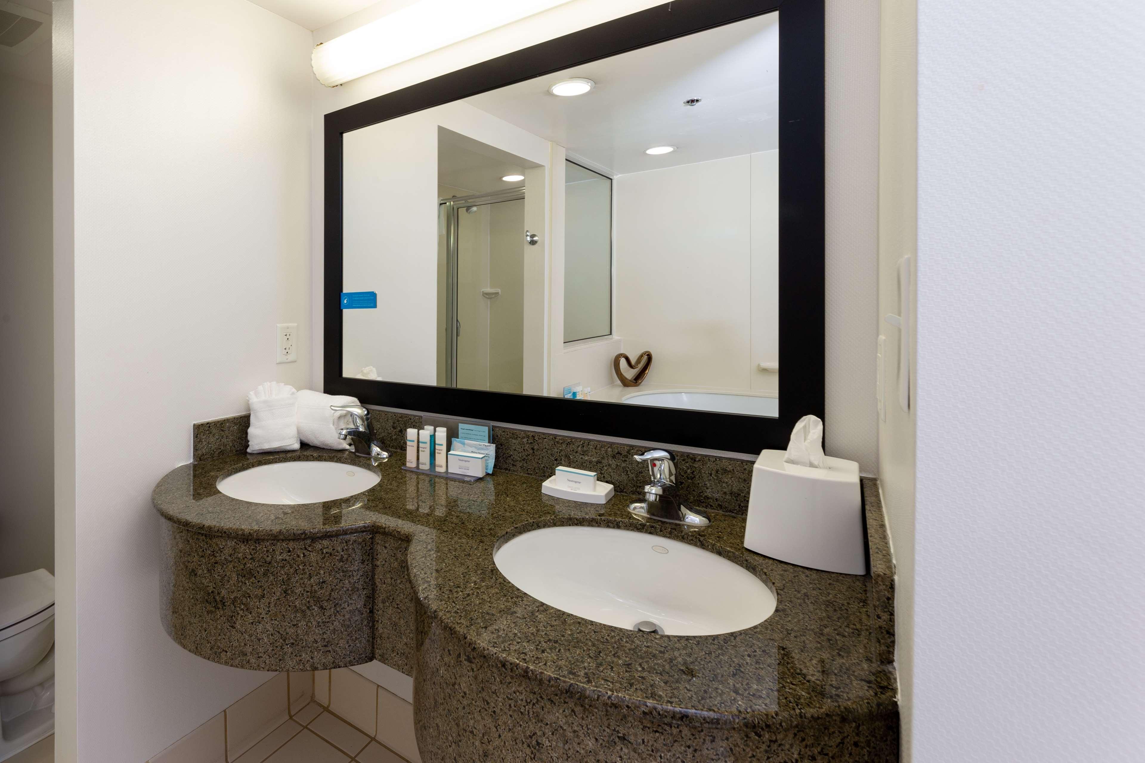 Suite King Bed One Bedroom 