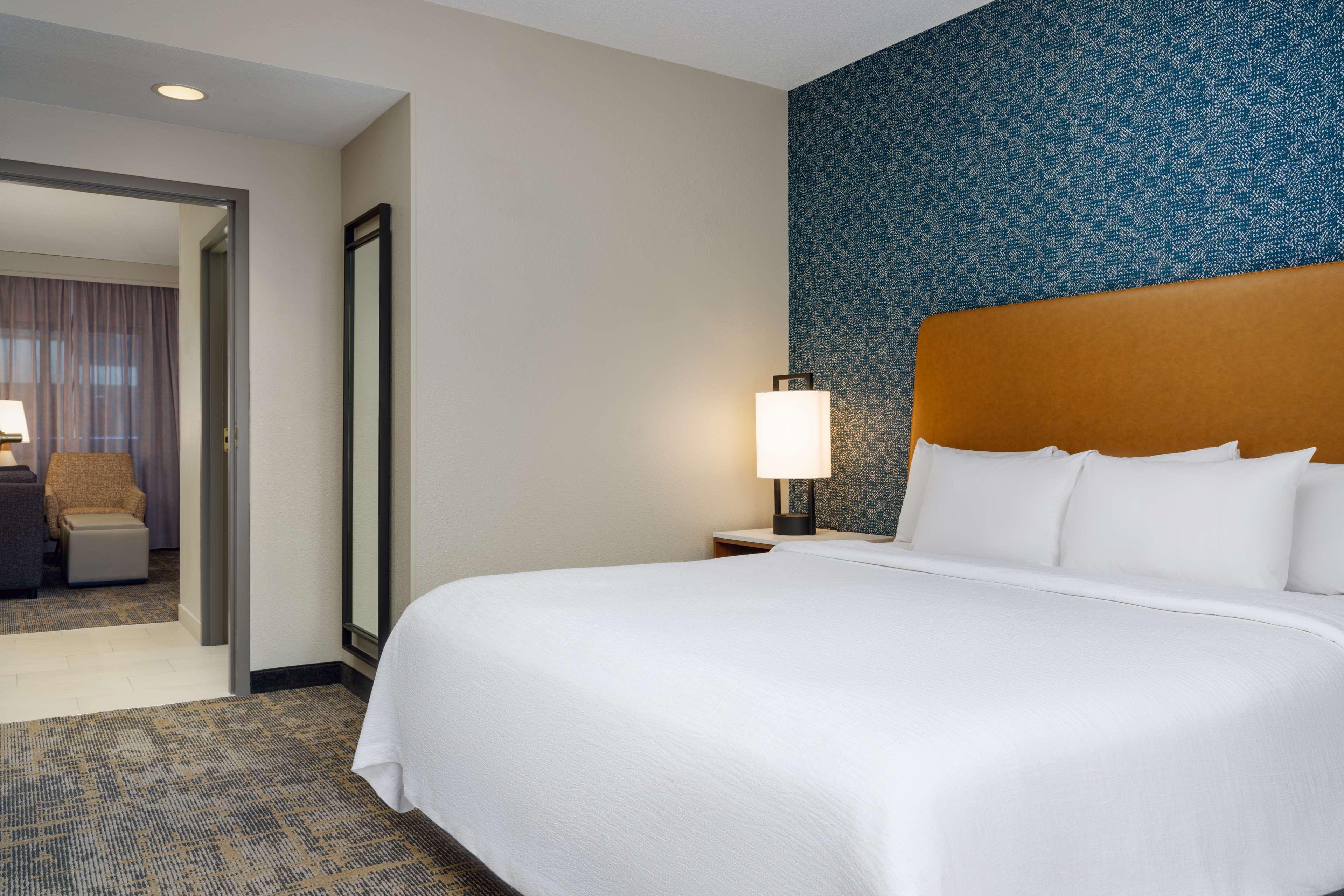 Suite King Bed One Bedroom 