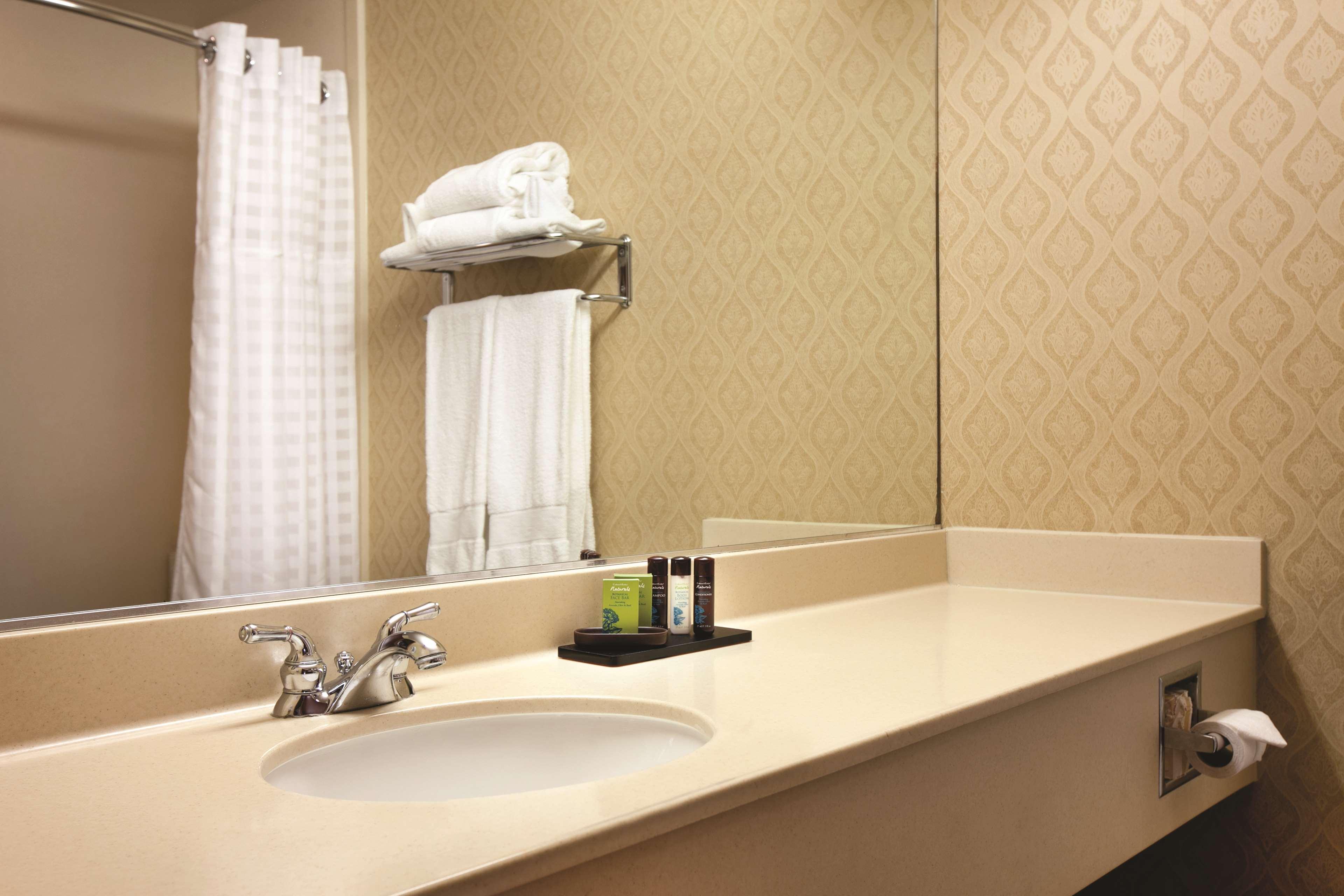 Suite Two Queen Beds