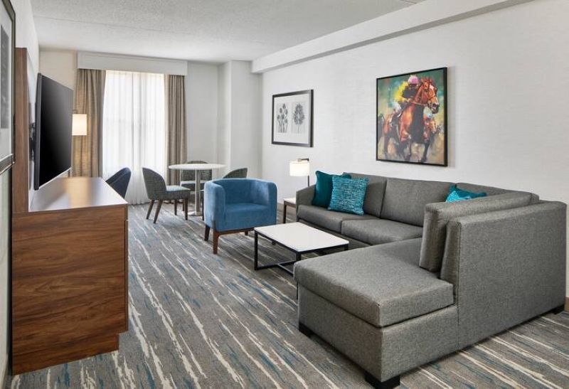 Suite King Bed One Bedroom 