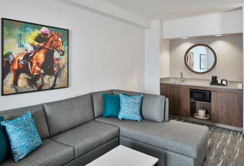 Suite King Bed One Bedroom 