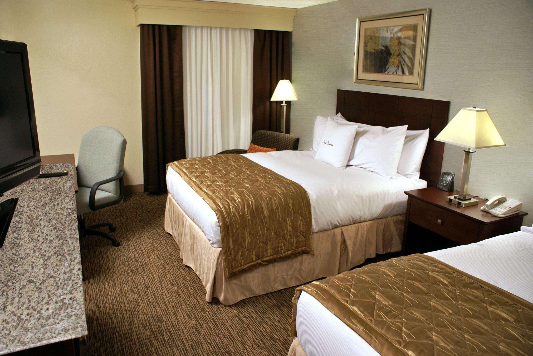 Double Two Queen Beds