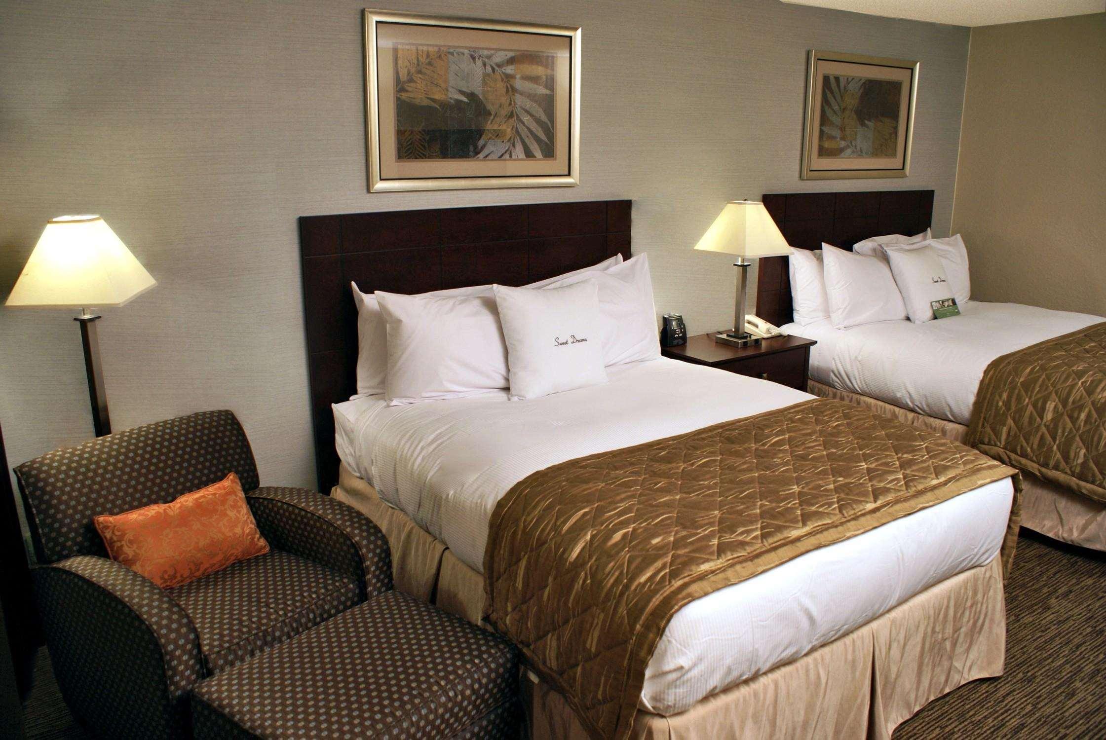 Double Two Queen Beds