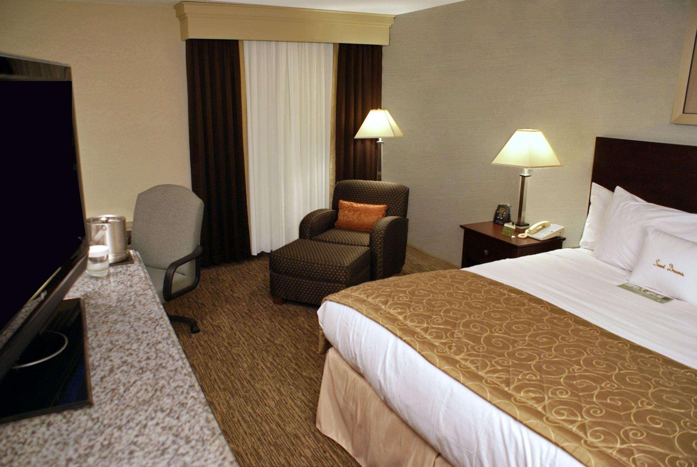 Double King Bed Non Smoking