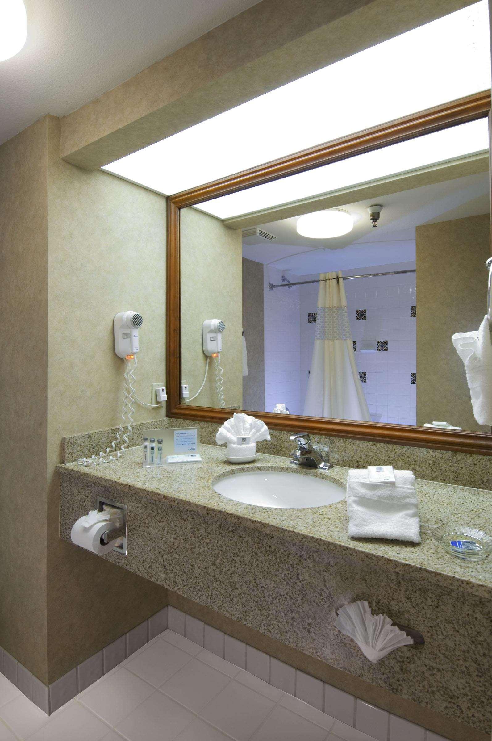 Suite King Bed One Bedroom 