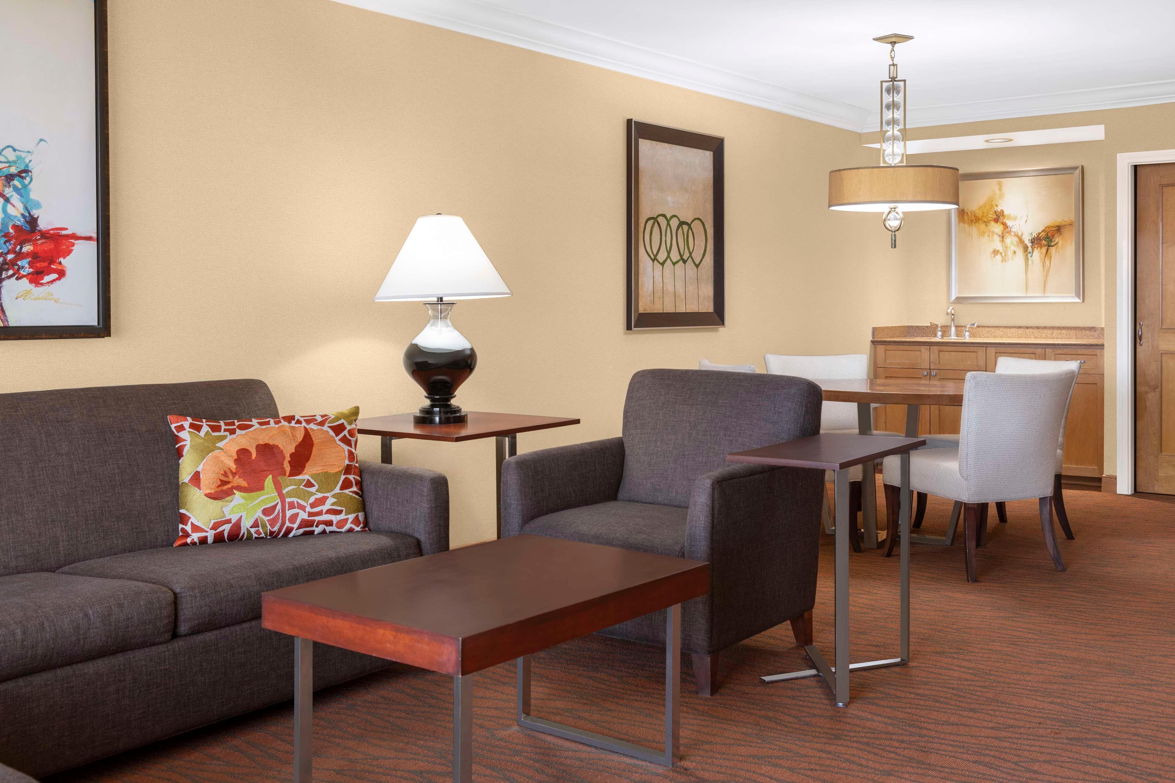 Suite King Bed One Bedroom 