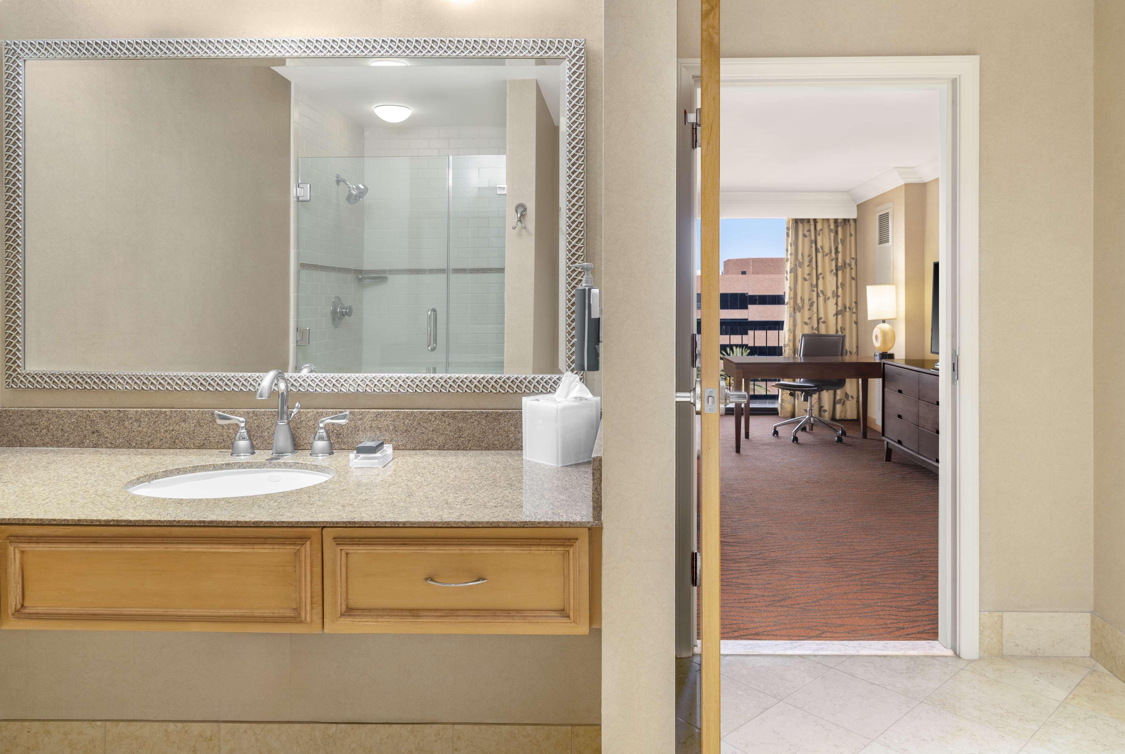 Suite King Bed One Bedroom 