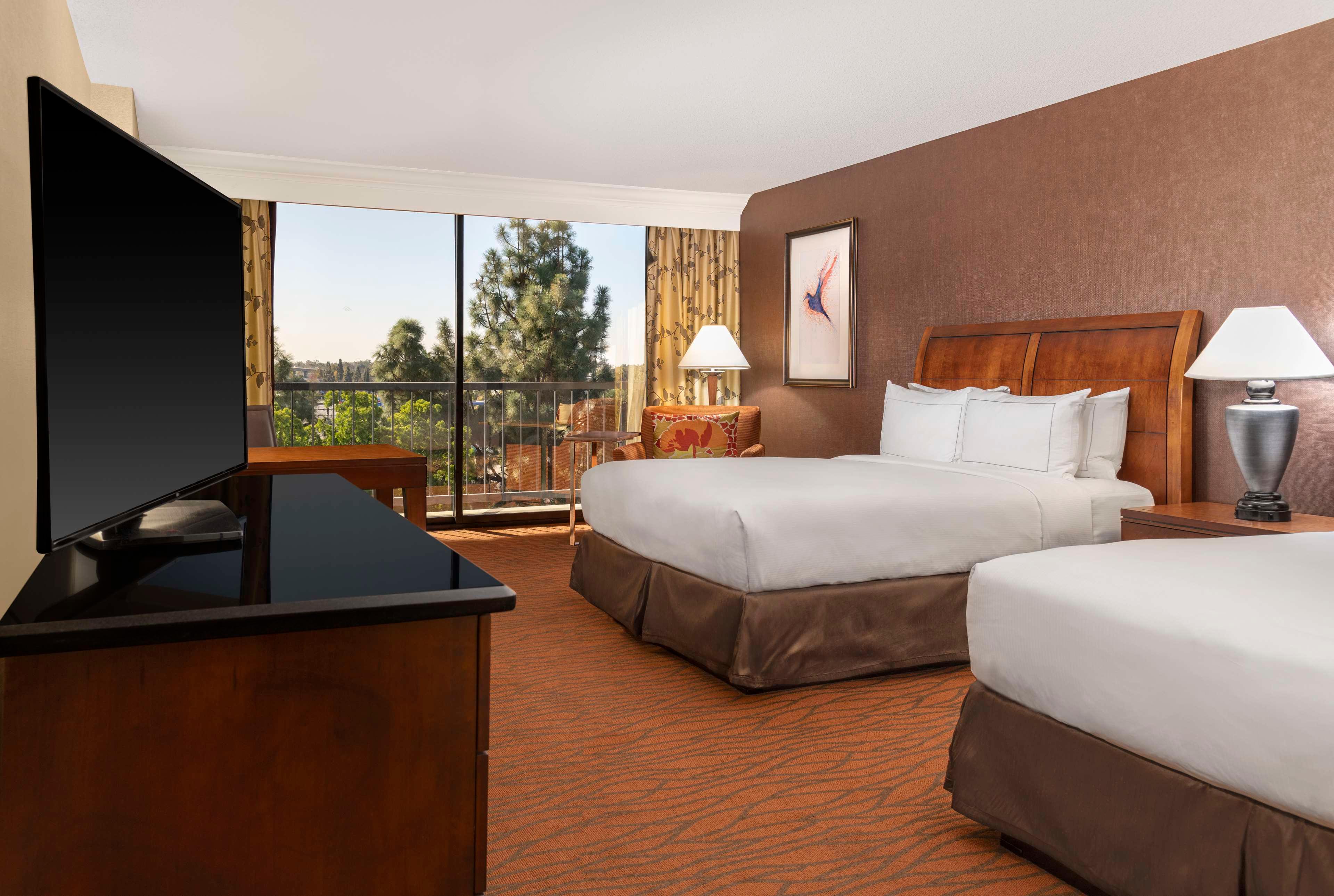 Double Two Queen Beds