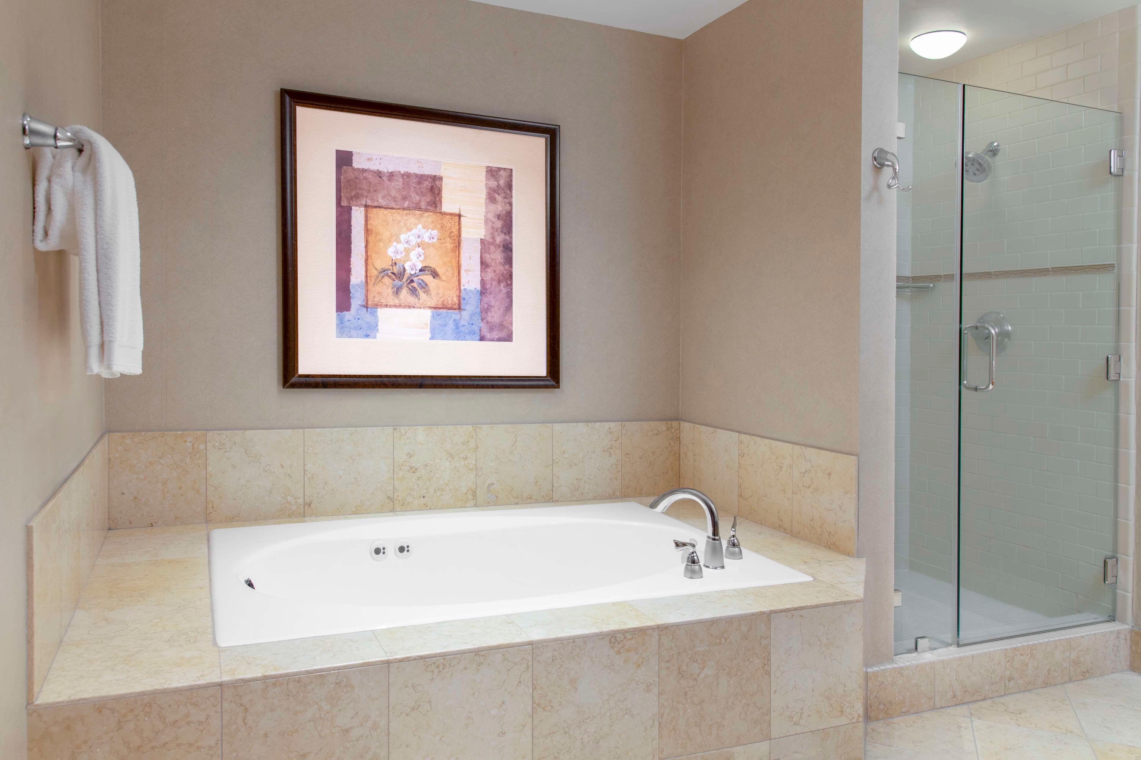 Suite King Bed One Bedroom 