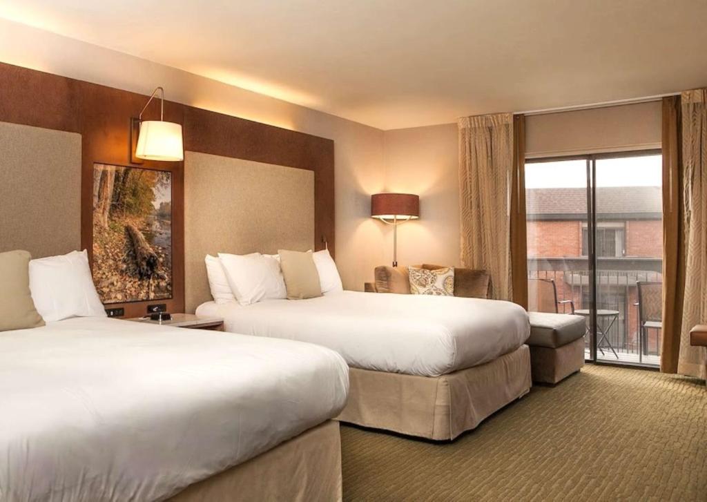 Suite Two Queen Beds