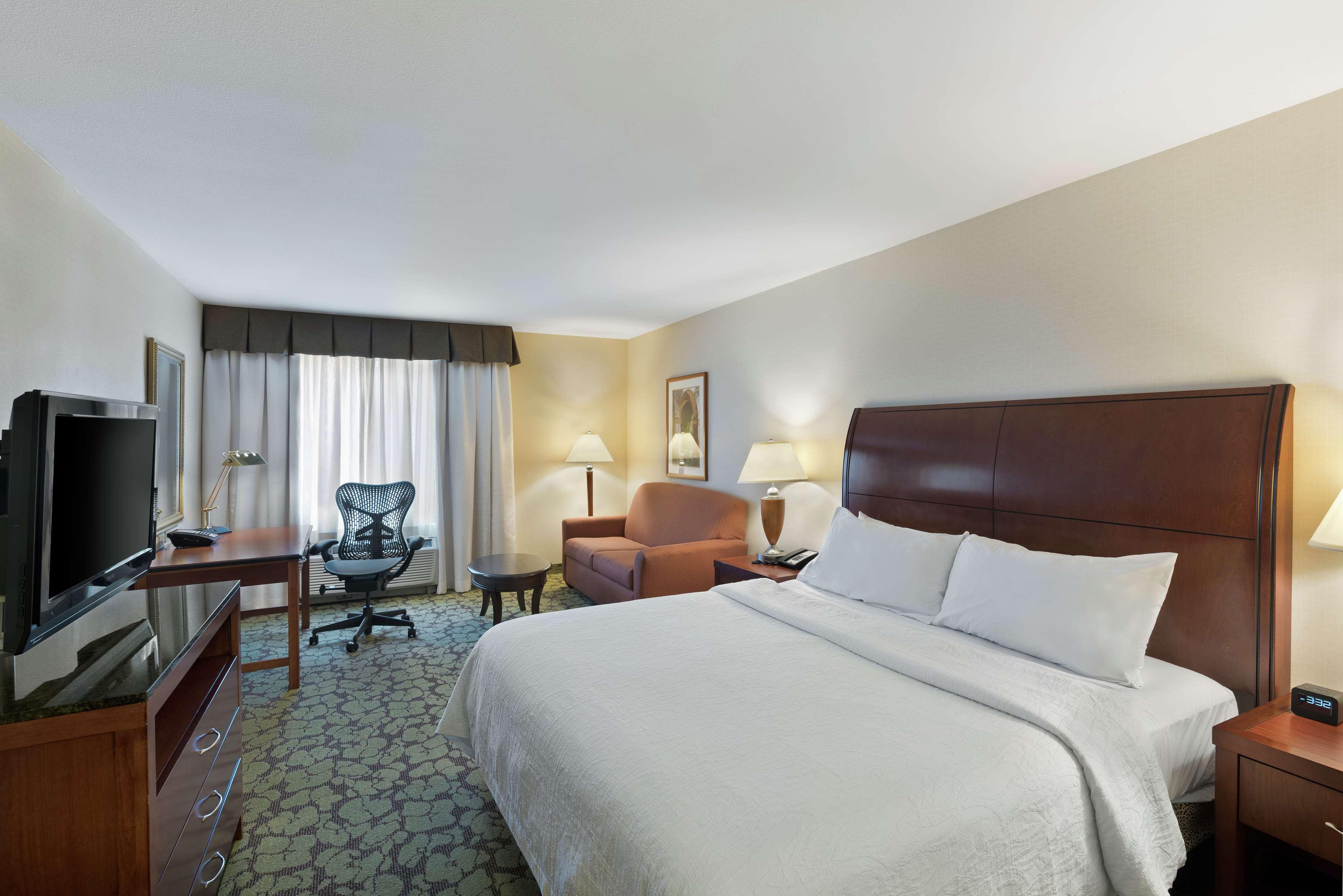 Family Room King Size Bed