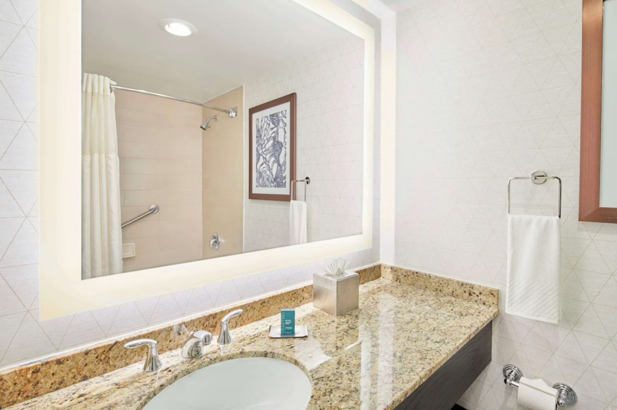 Double Two Queen Beds