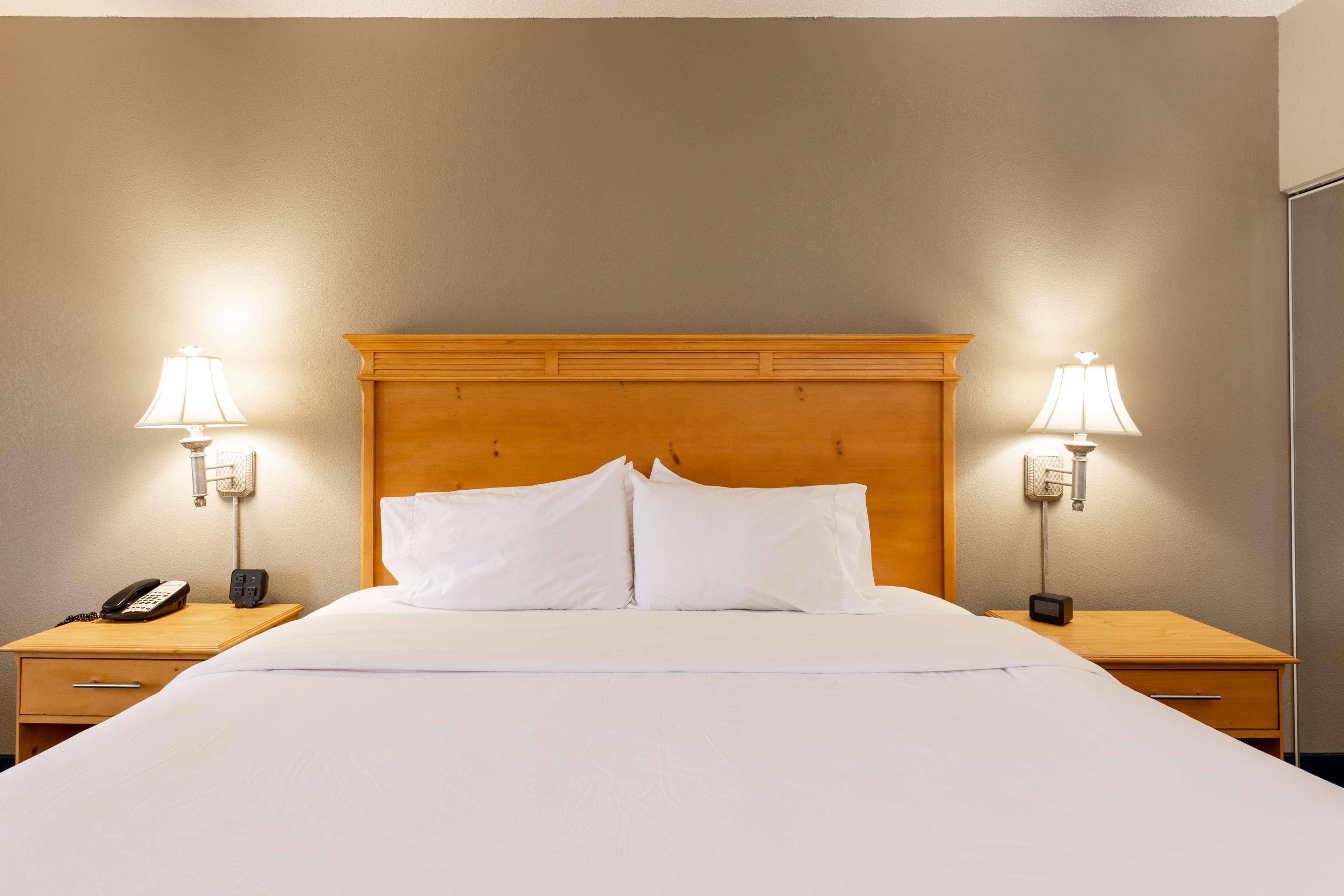 Double King Bed Non Smoking