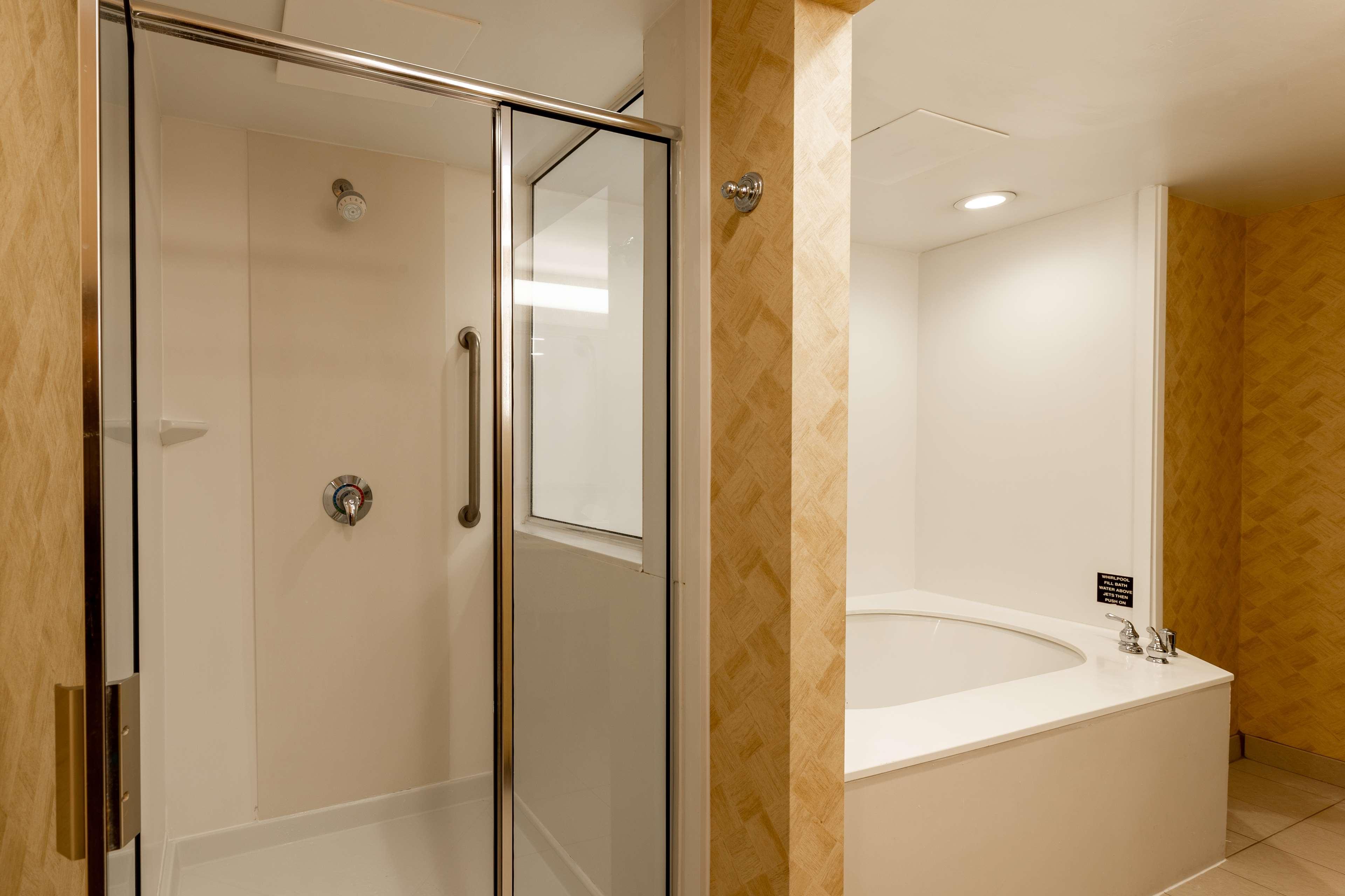 Suite King Bed One Bedroom 