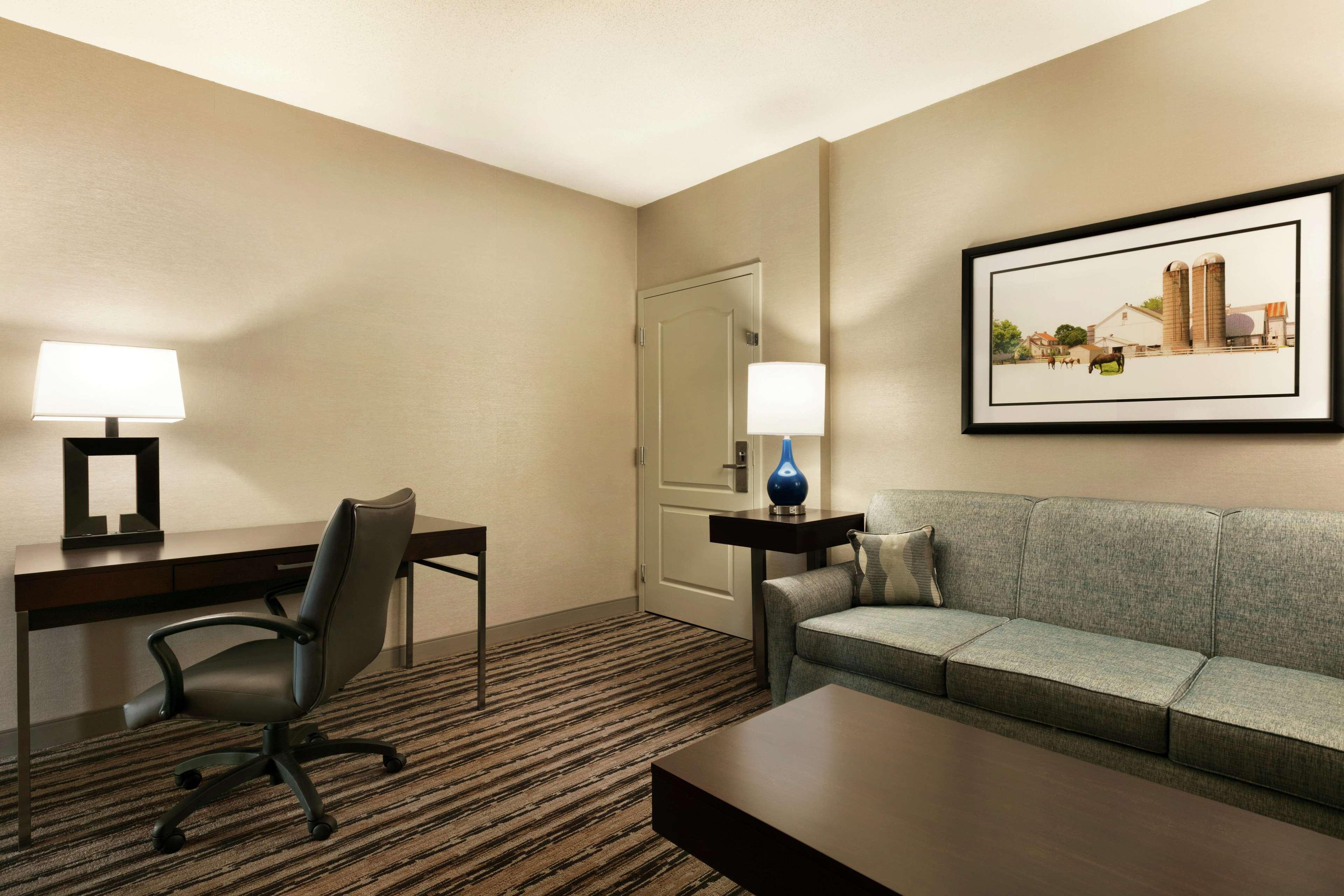 Suite King Bed One Bedroom 