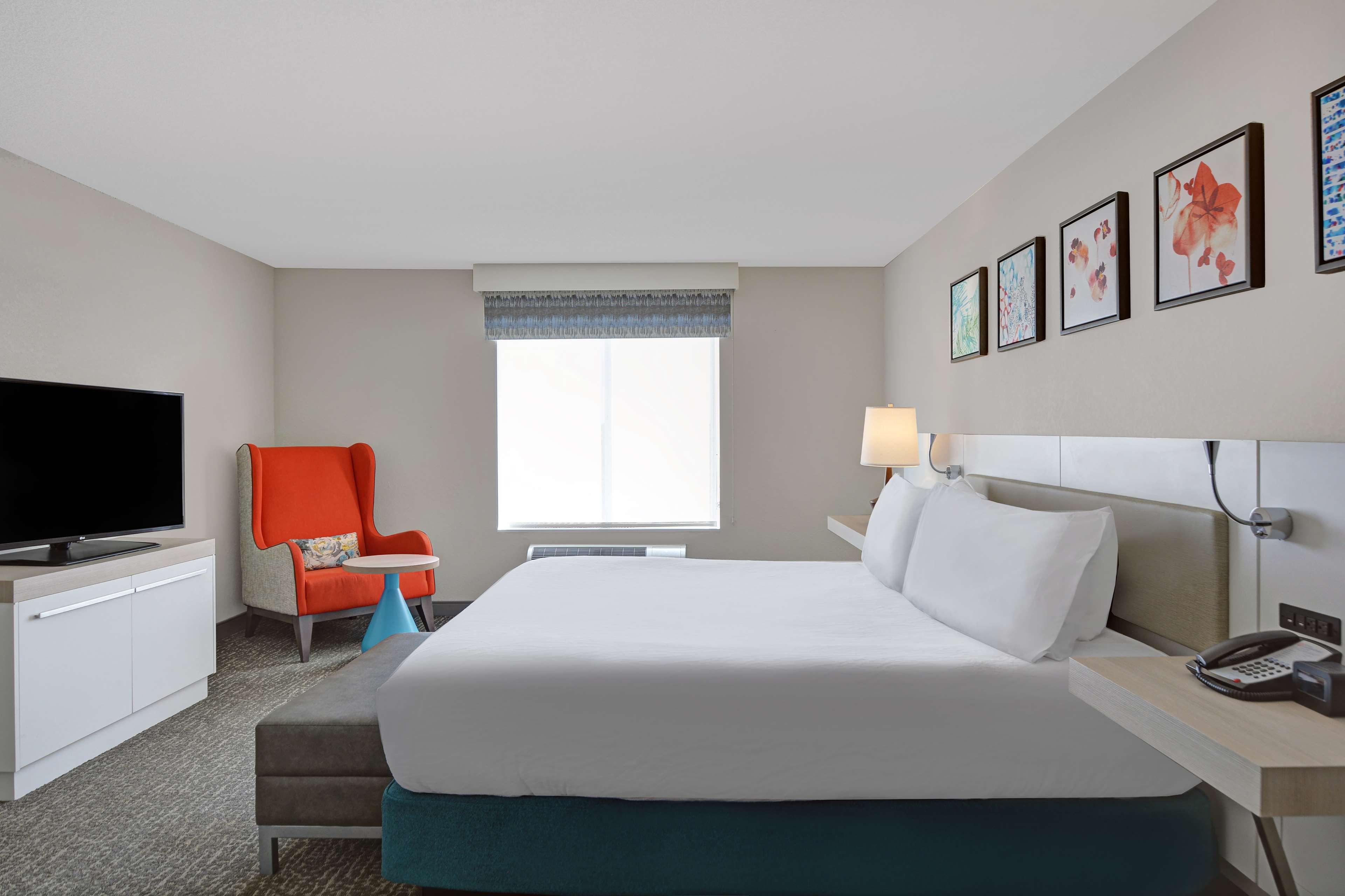 Suite King Bed One Bedroom 