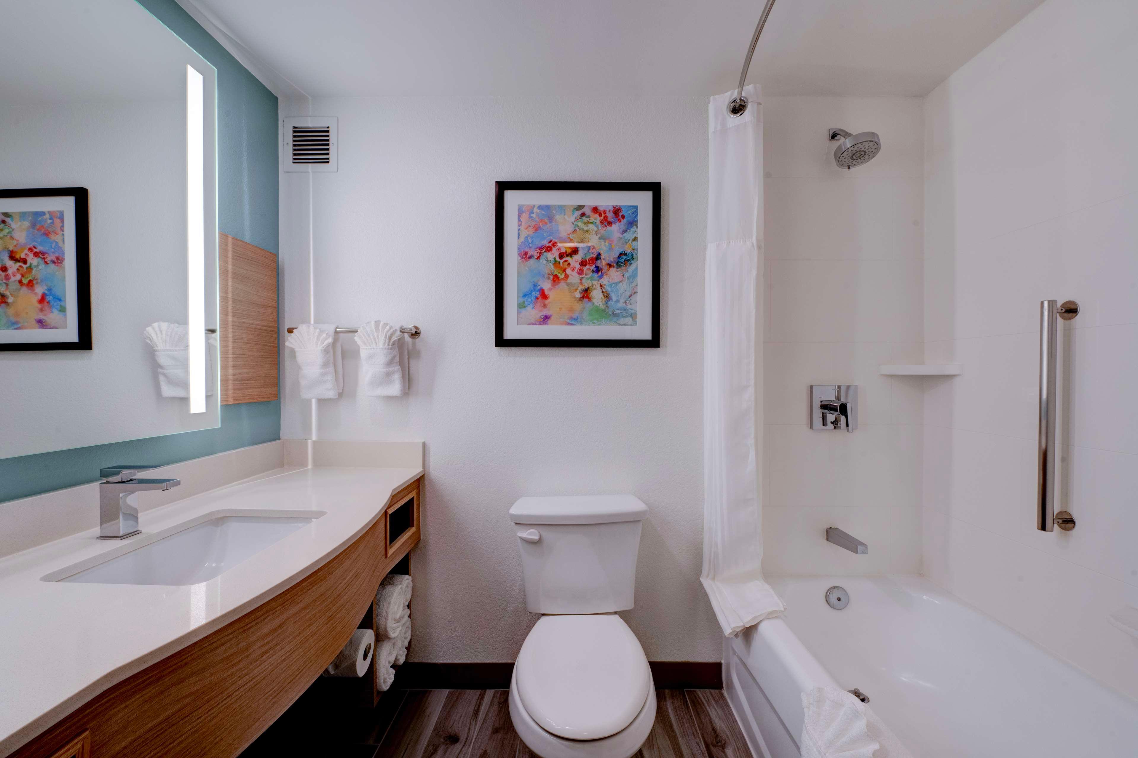 Double Two Queen Beds