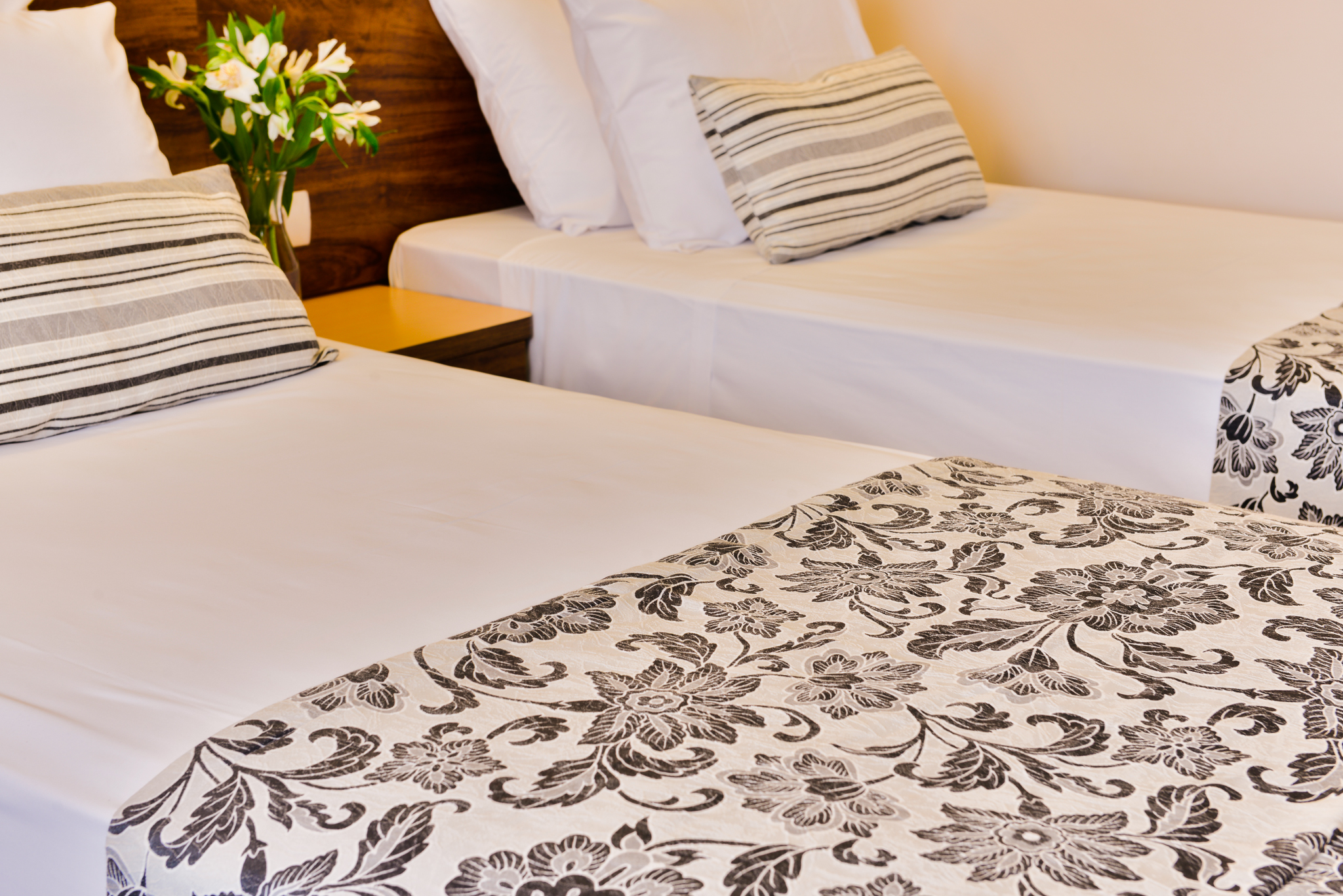 Double or Twin Standard