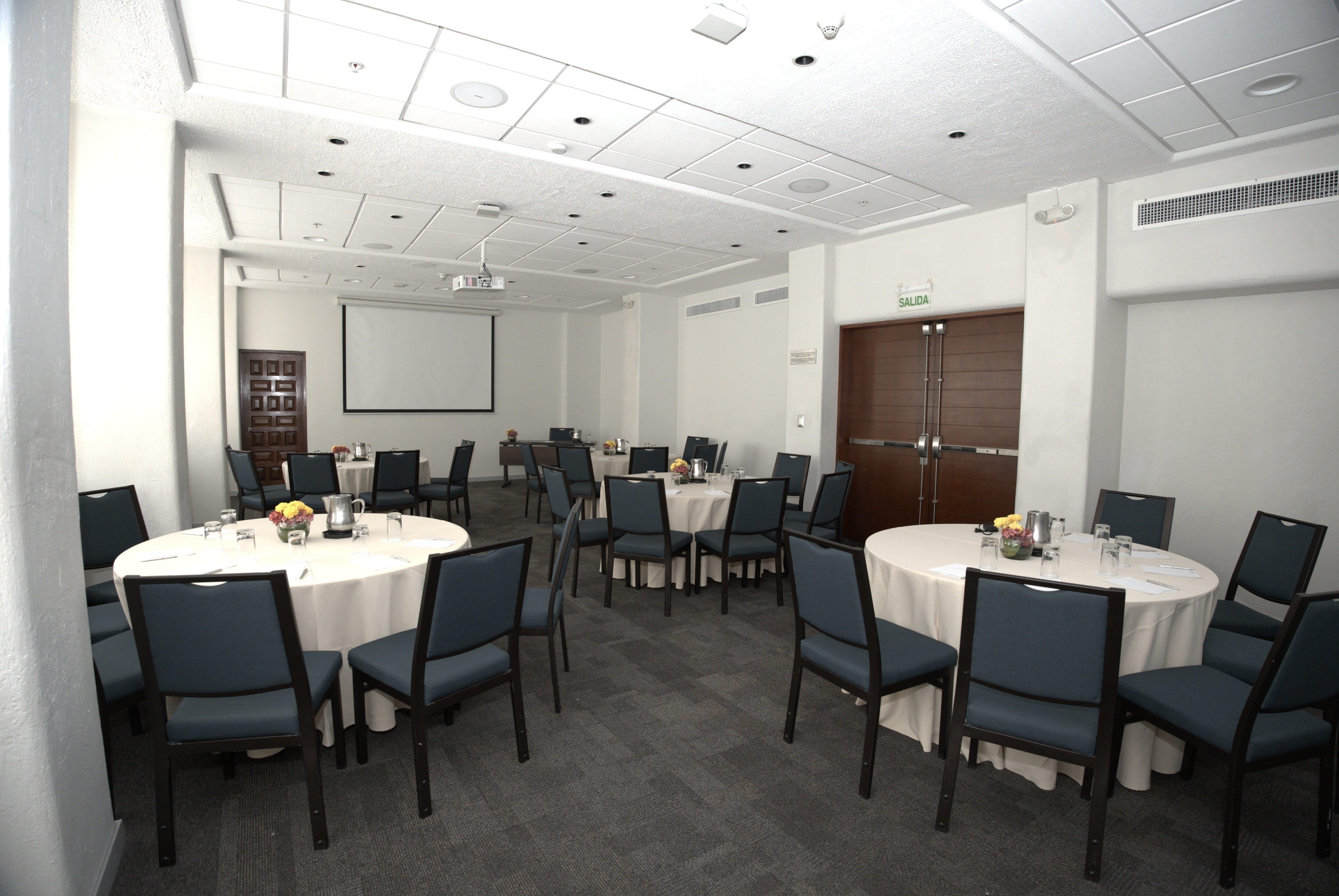 Conferences