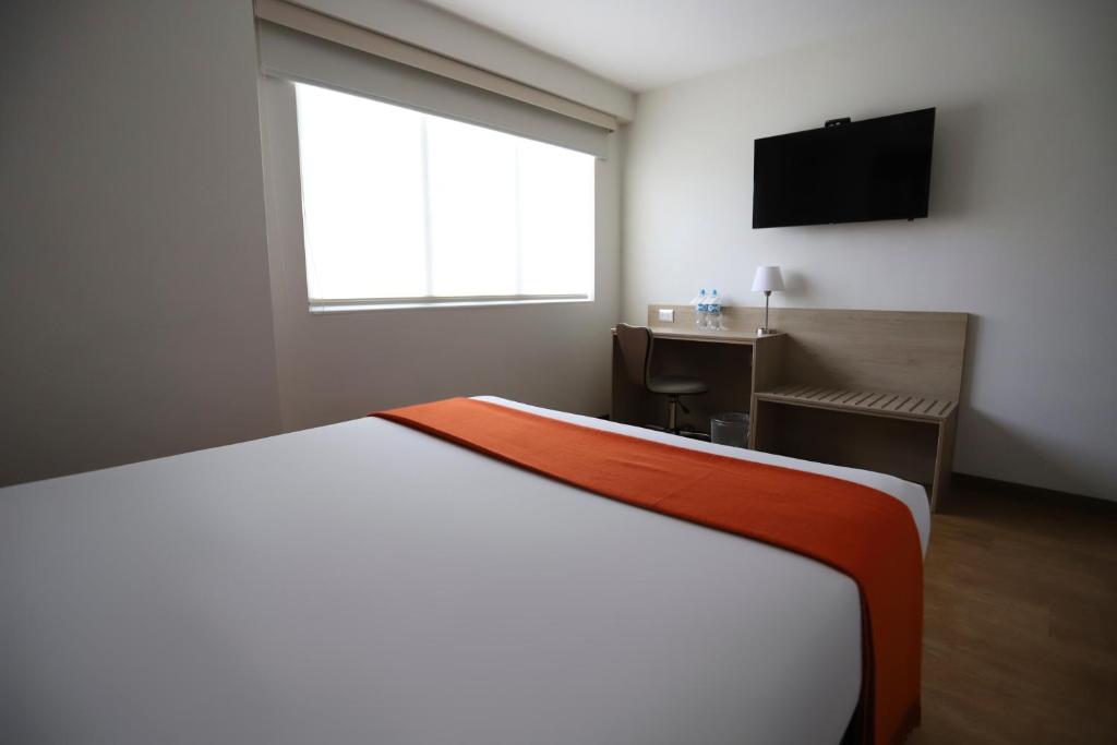 Double Queen Size Bed