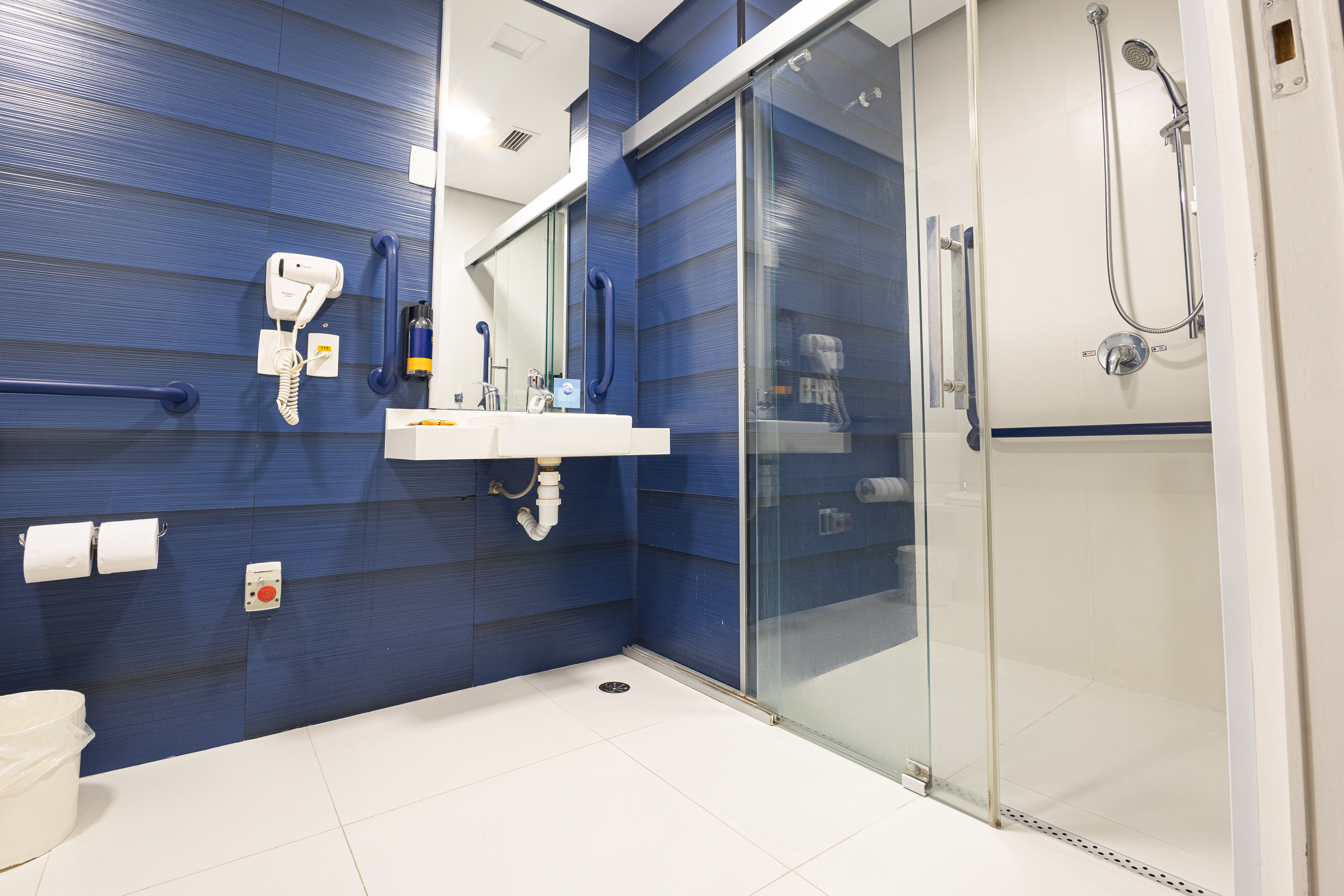 Single Accesible Deluxe 