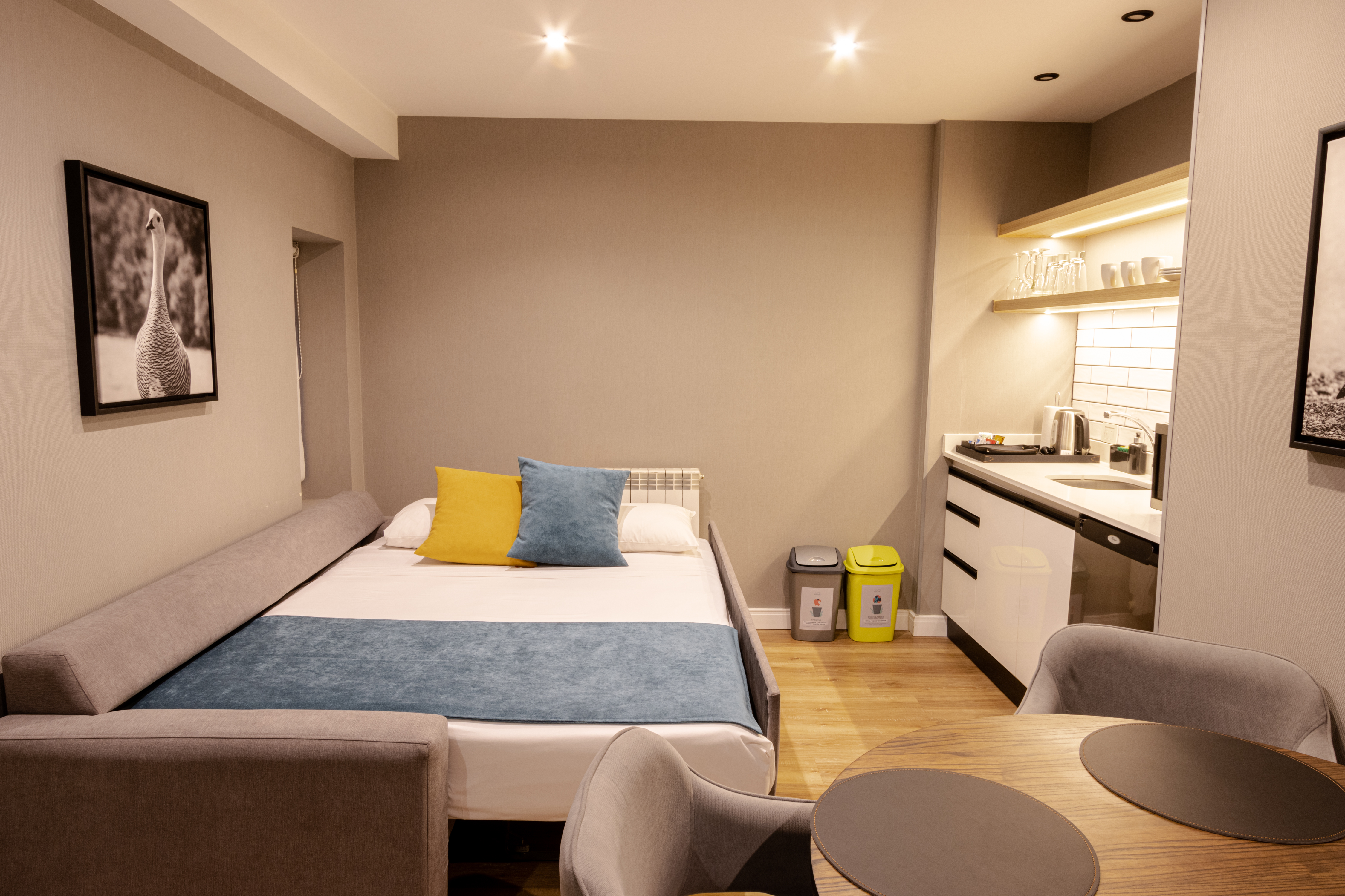 Apartment Capacity 3