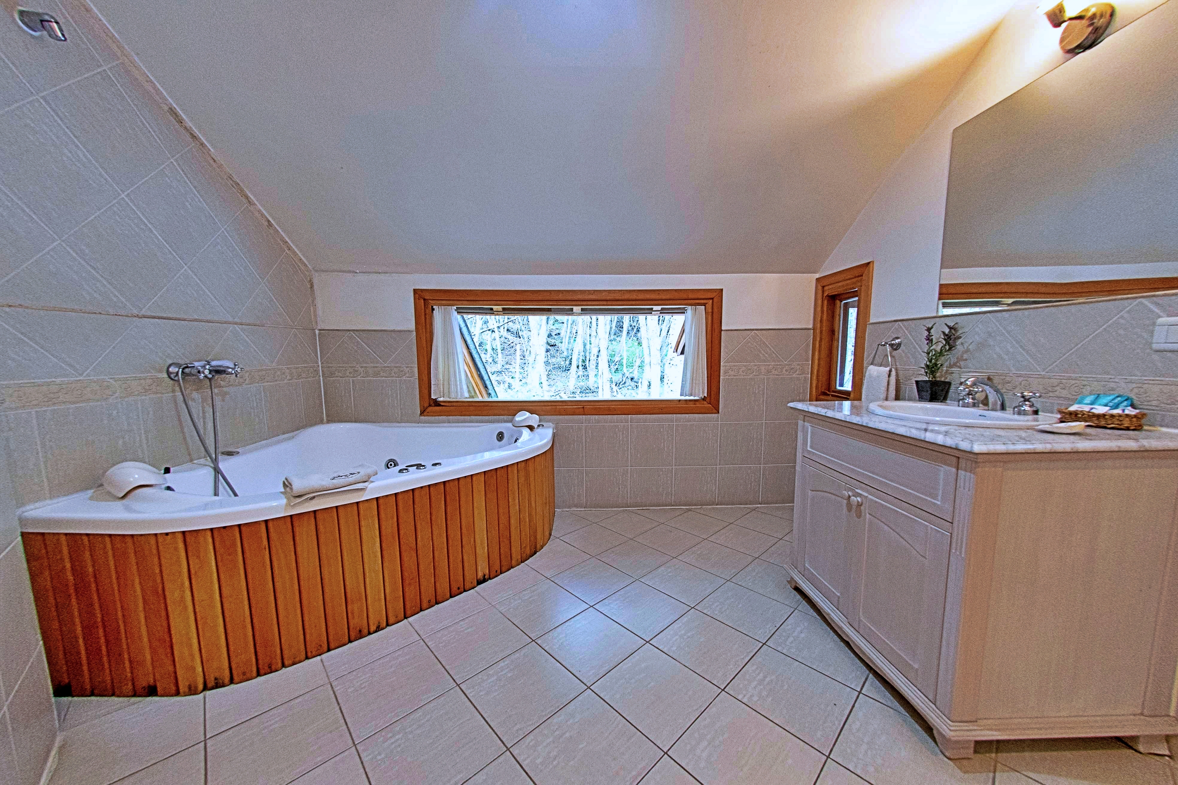 Room Deluxe with Jacuzzi