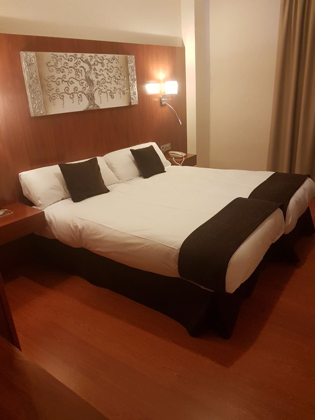 Double or Twin Standard