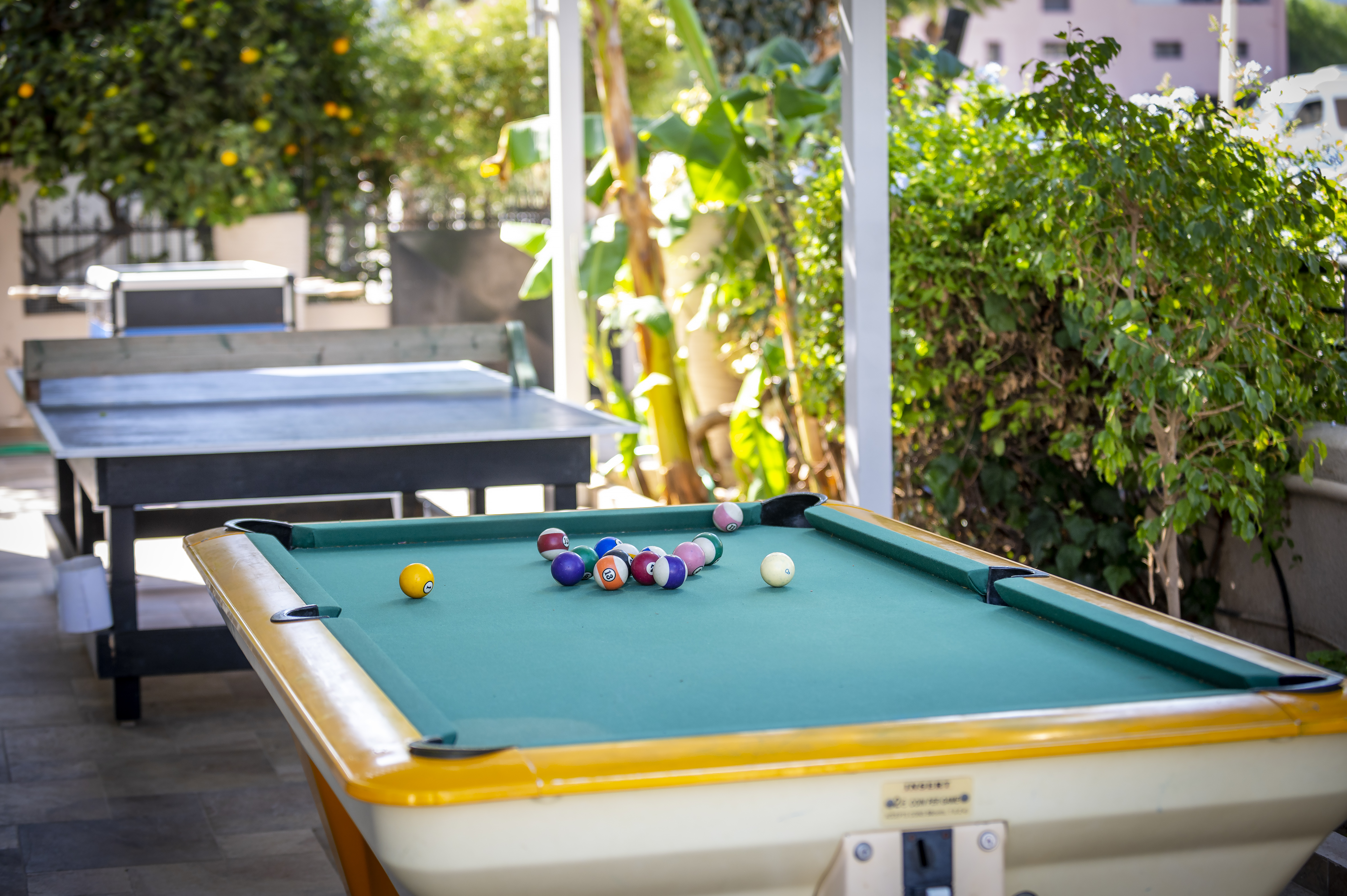 Sports and Entertainment