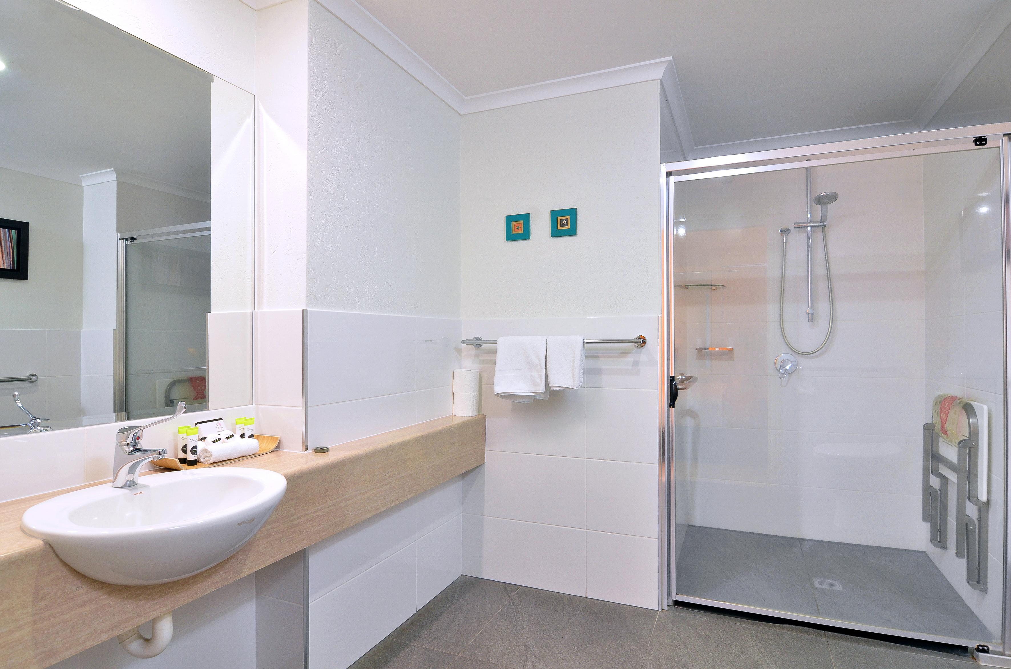 Apartment One Bedroom Accessible