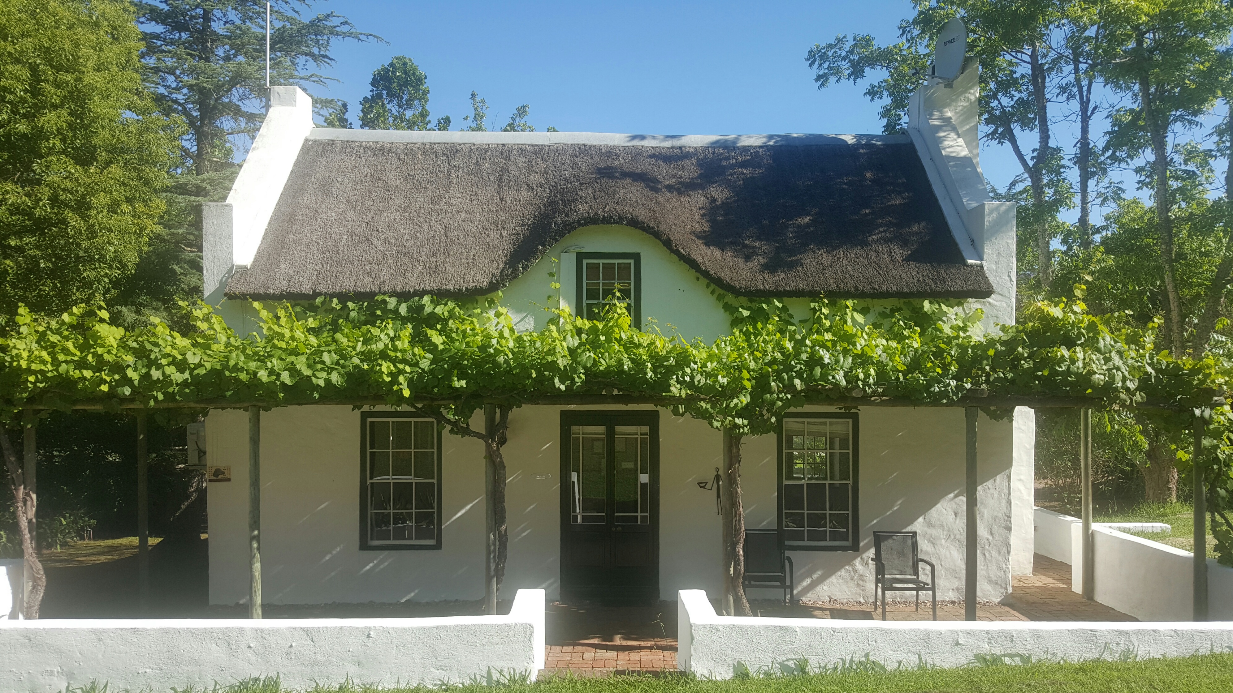 Family Room Standard