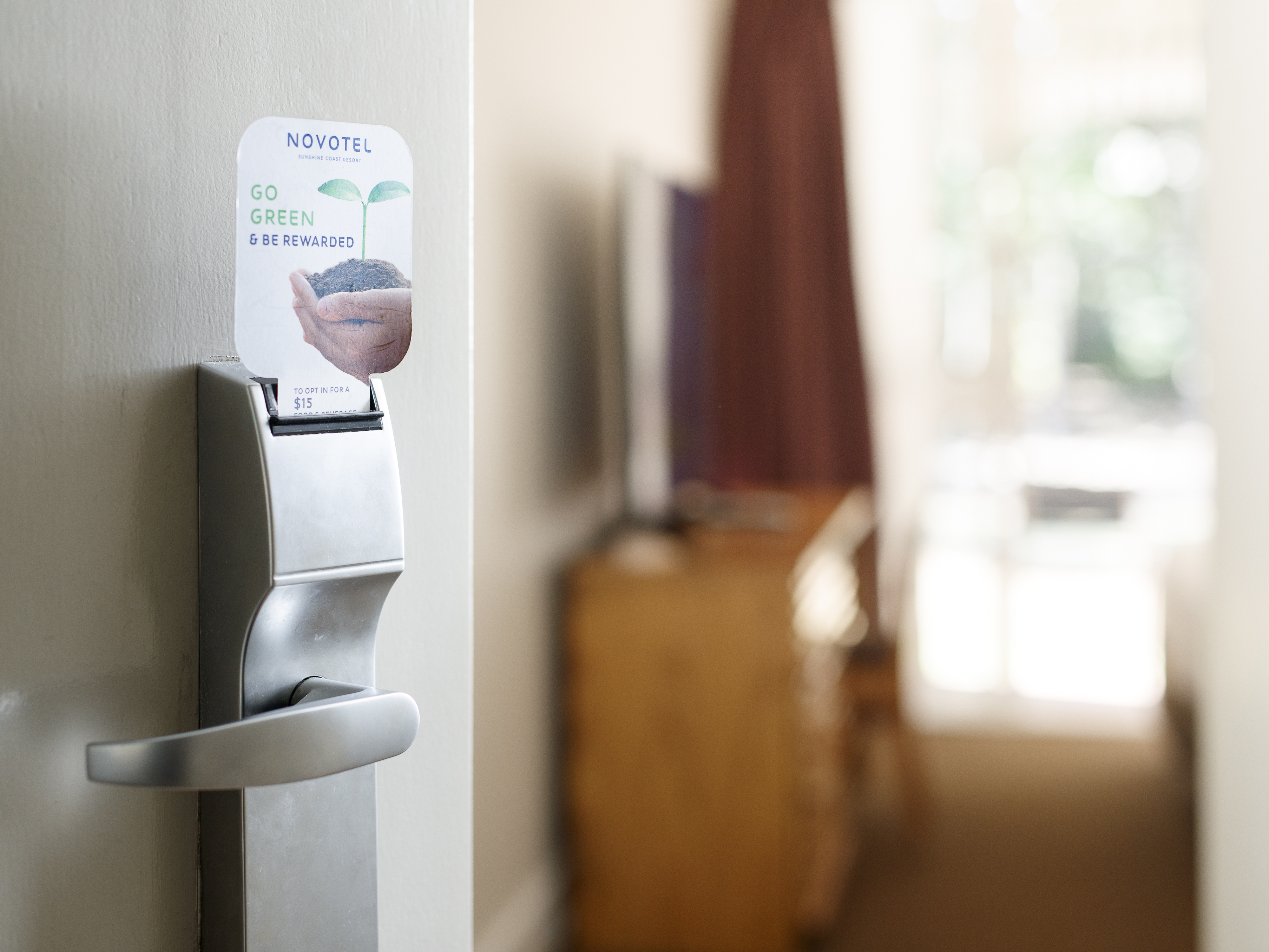 Suite King Bed One Bedroom 