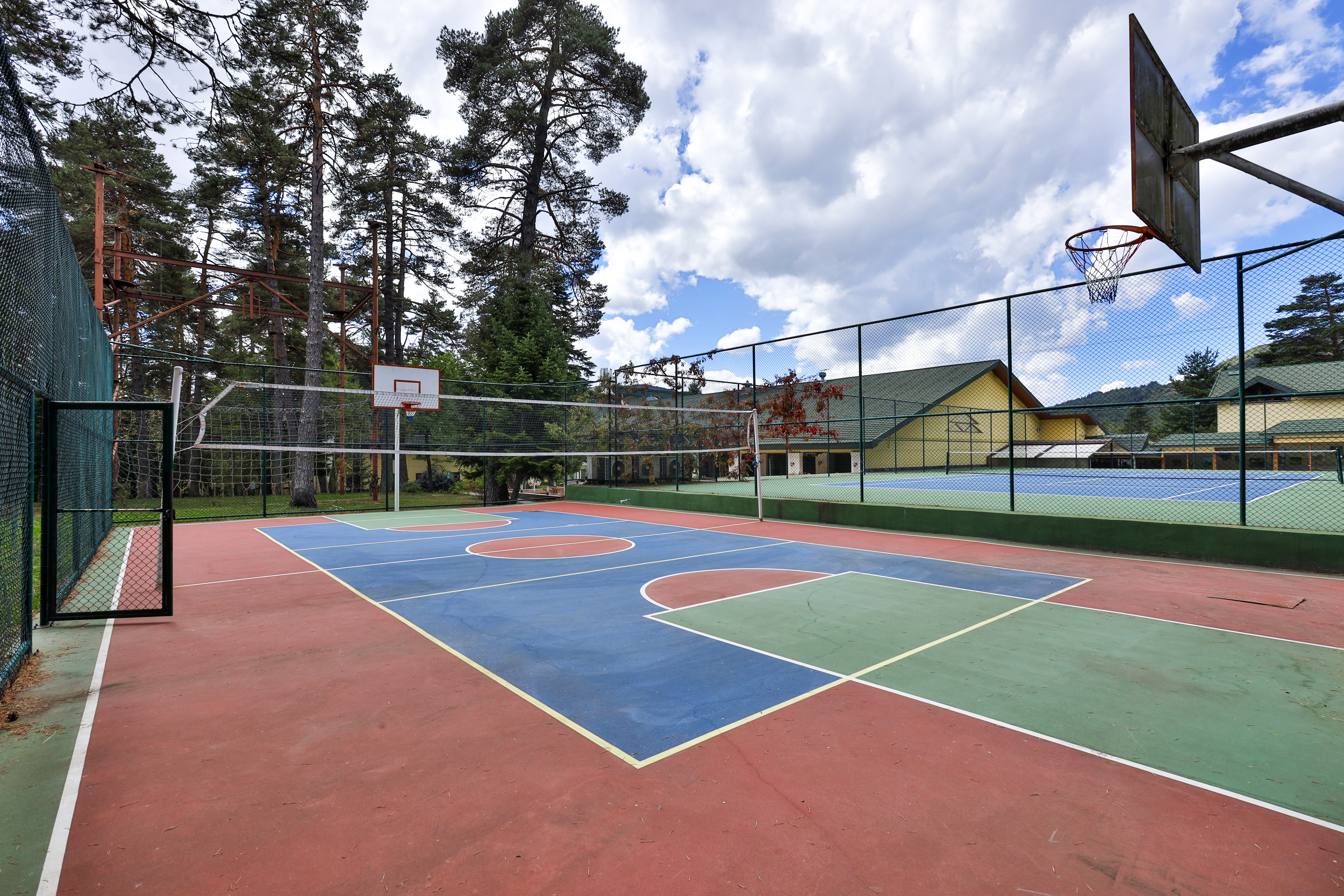 Sports and Entertainment