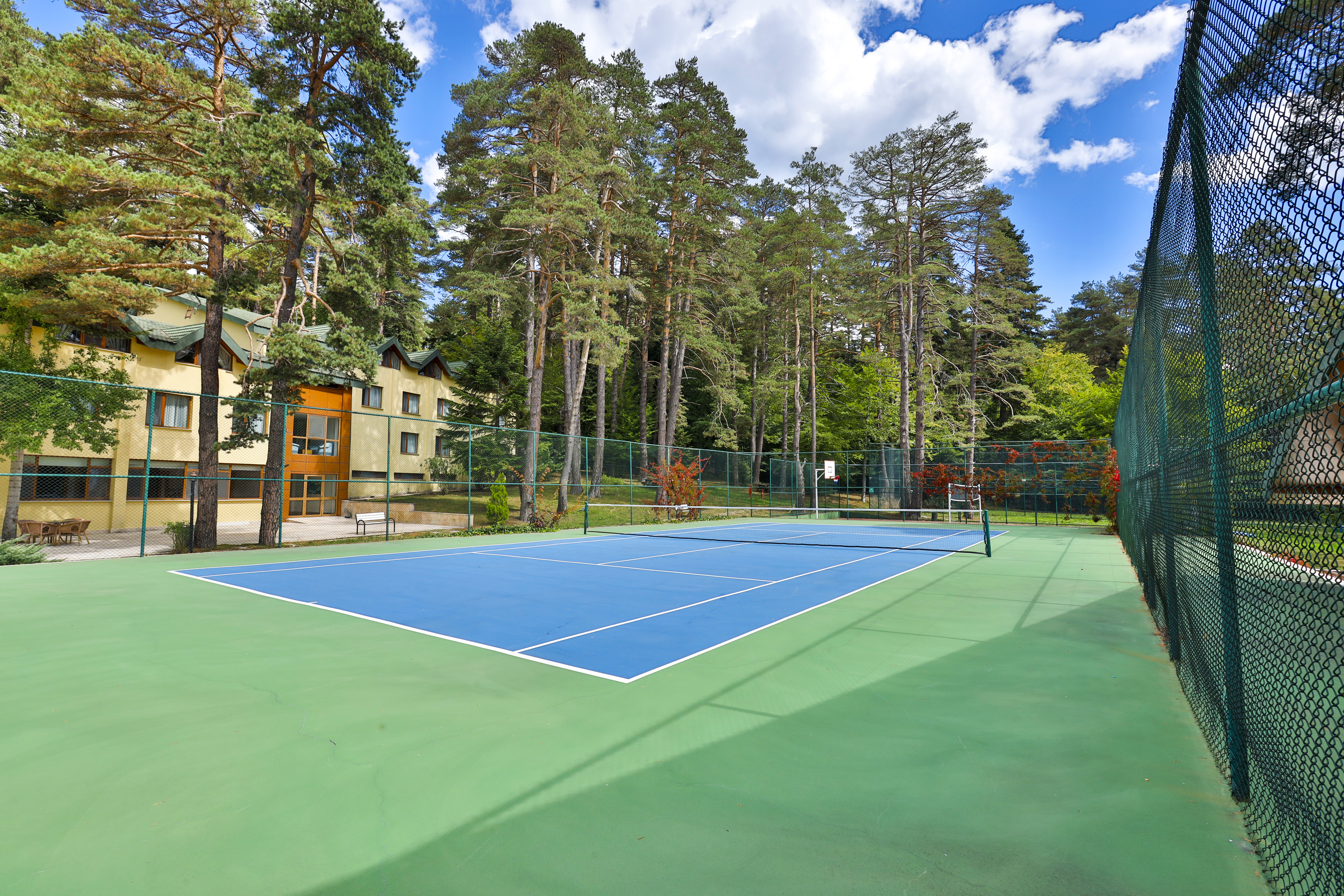 Sports and Entertainment