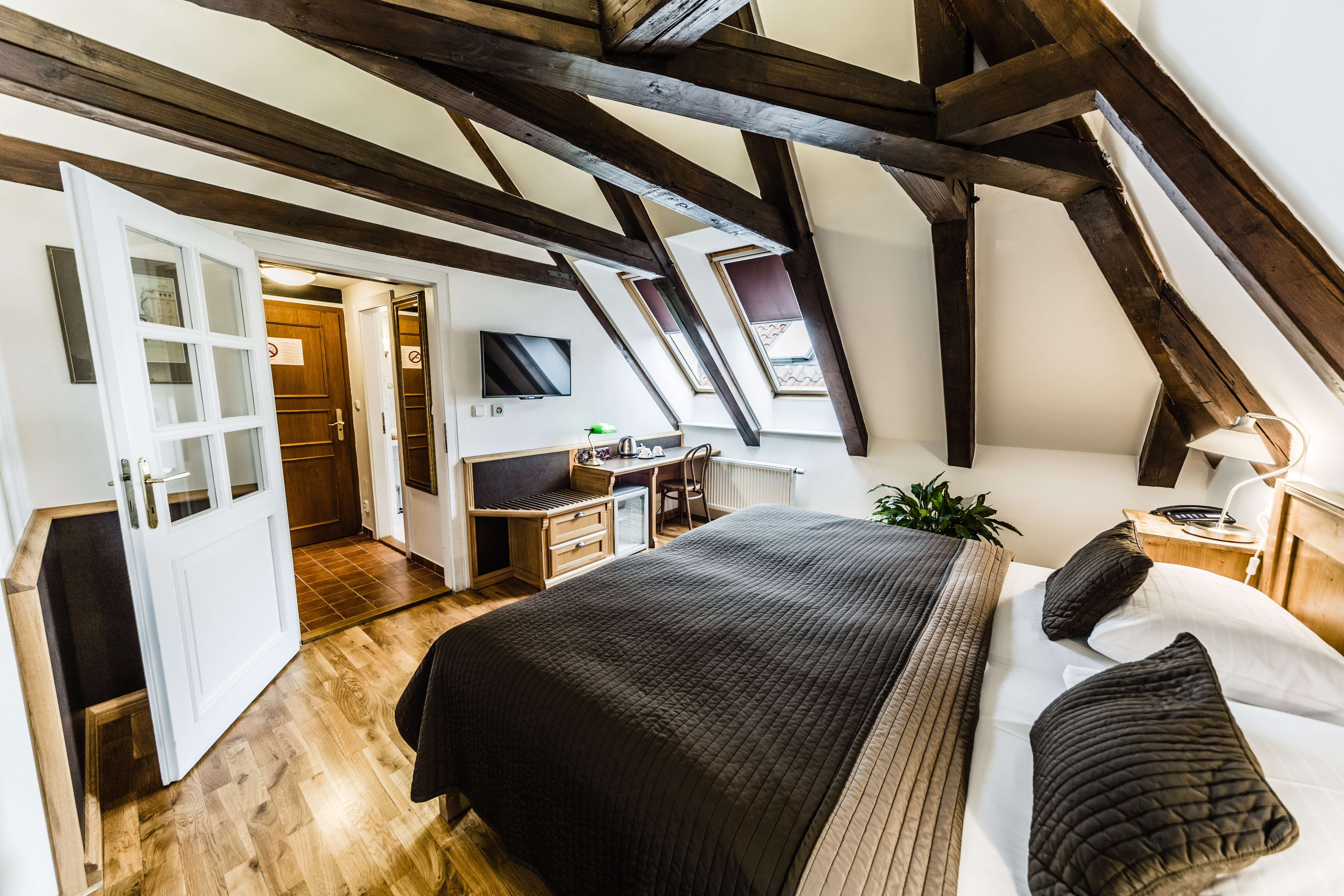 Double or Twin Standard