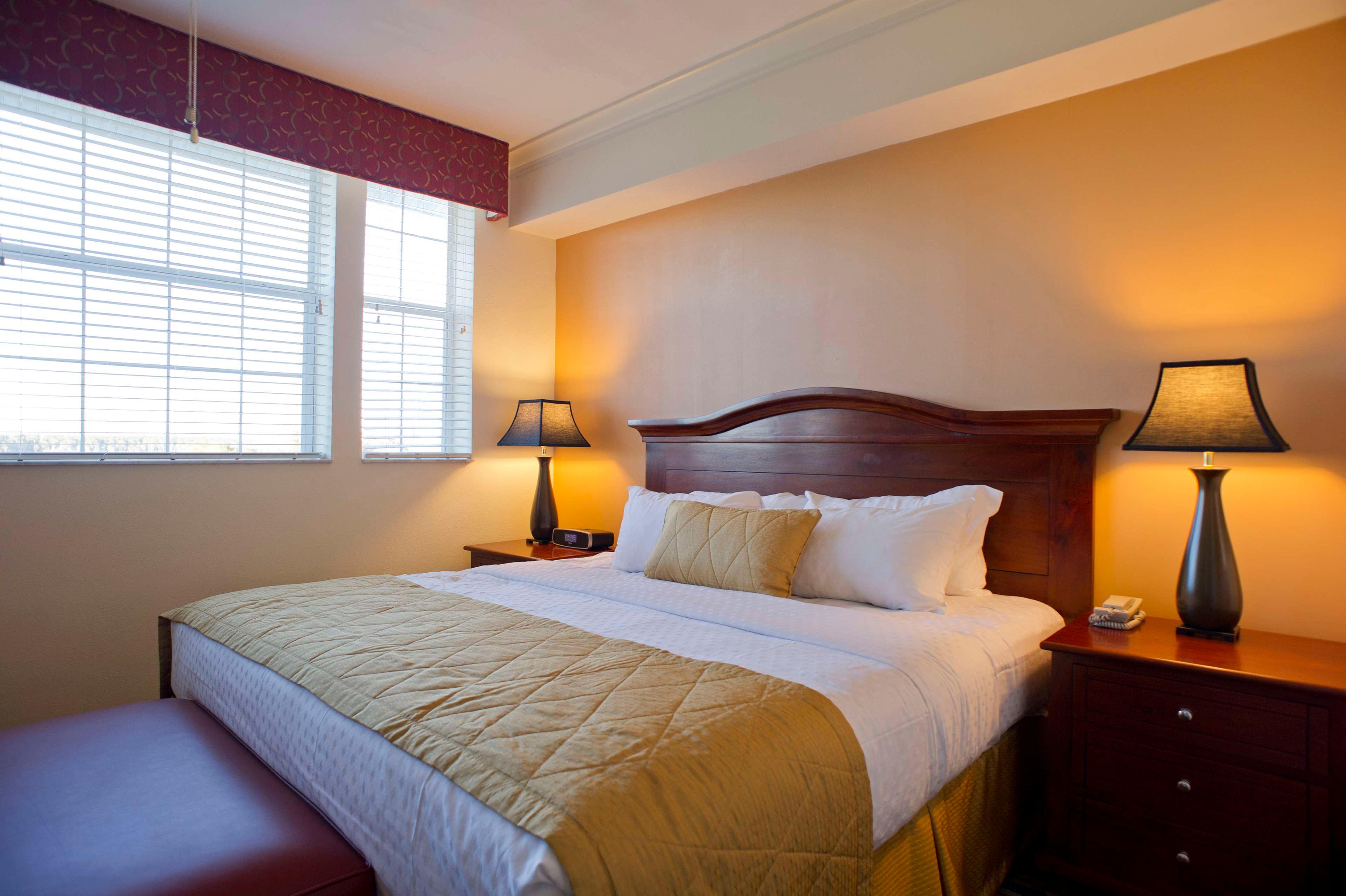 Suite King Bed One Bedroom 