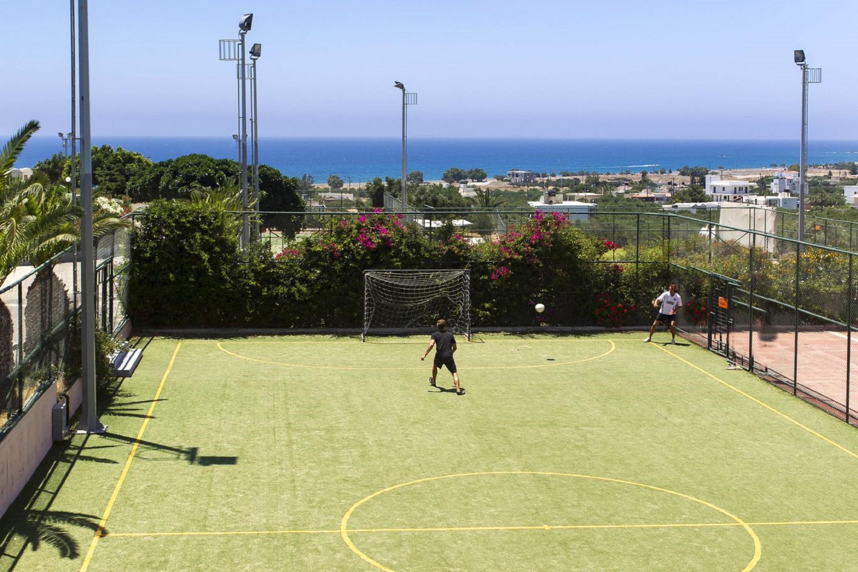 Sports and Entertainment