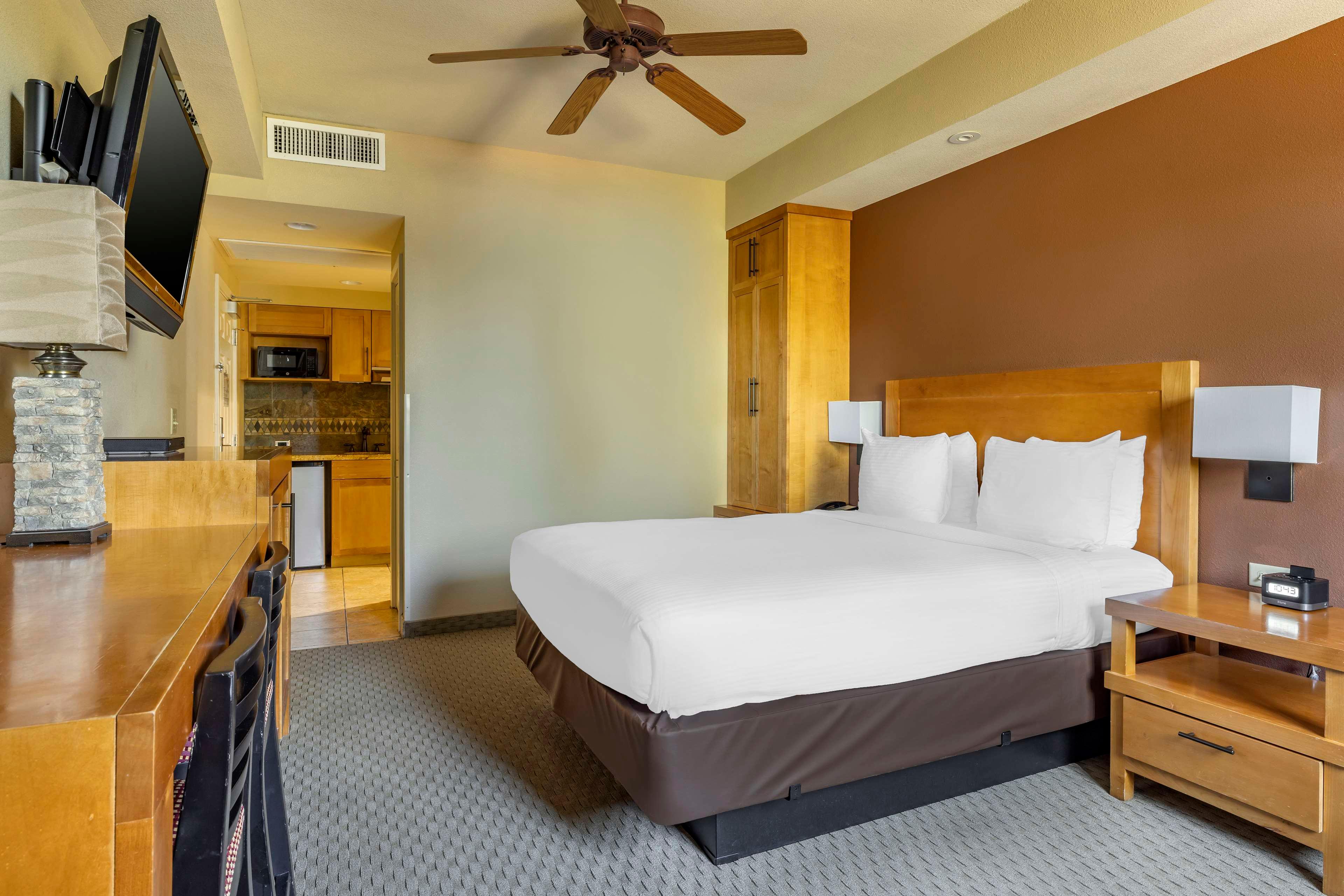 Studio King Size Bed