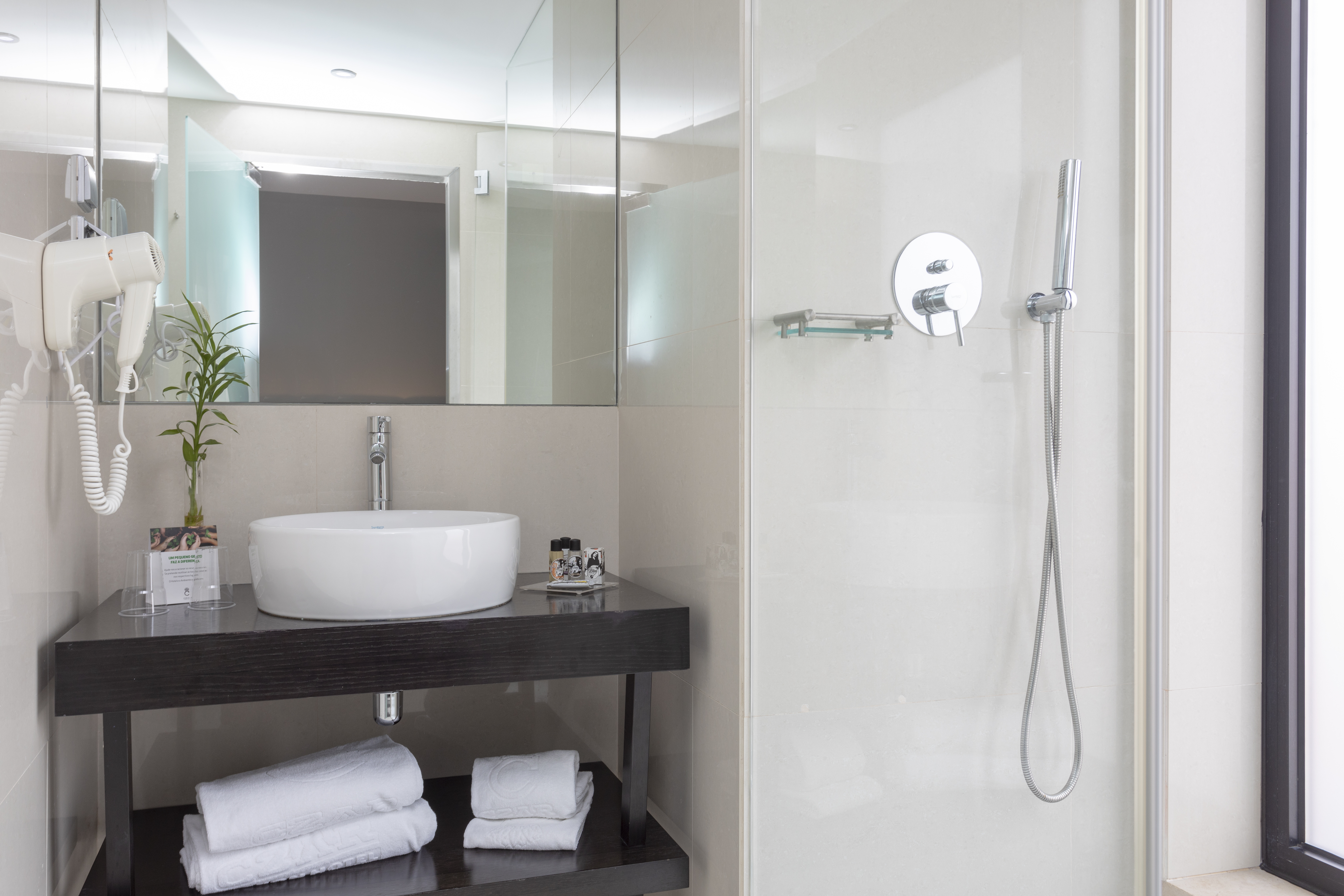 Double or Twin Superior