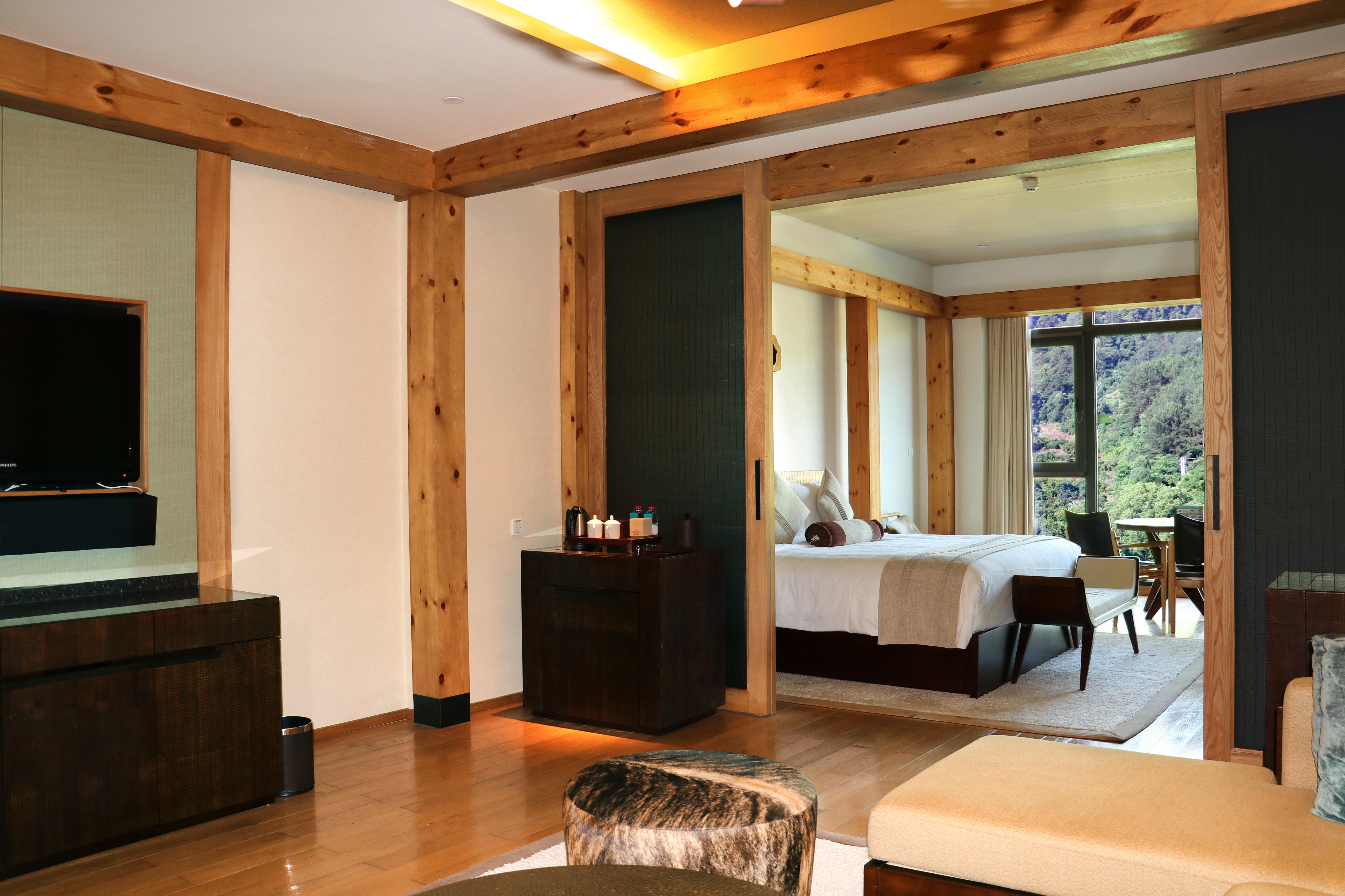 Double Classic Mountain View