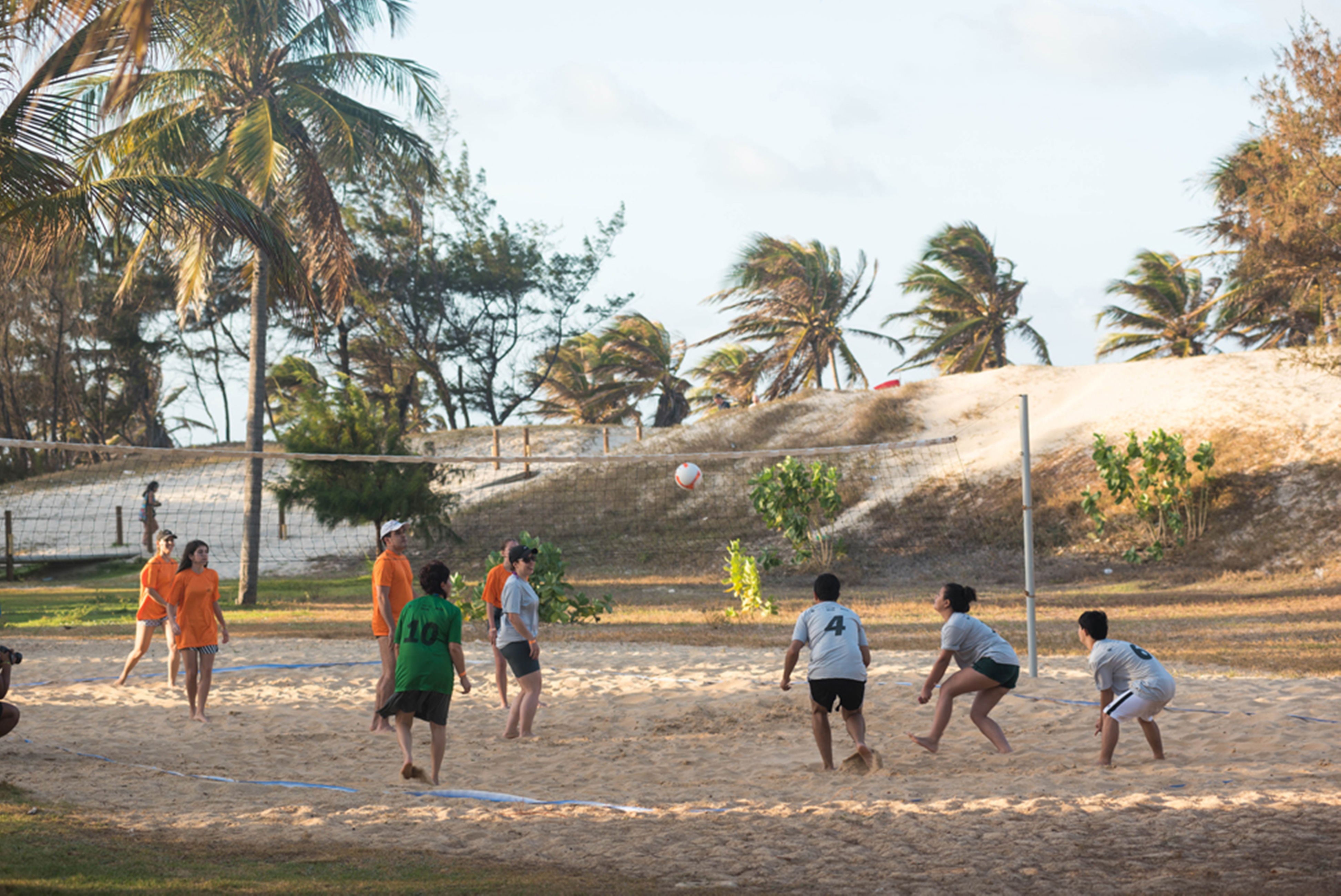 Sports and Entertainment