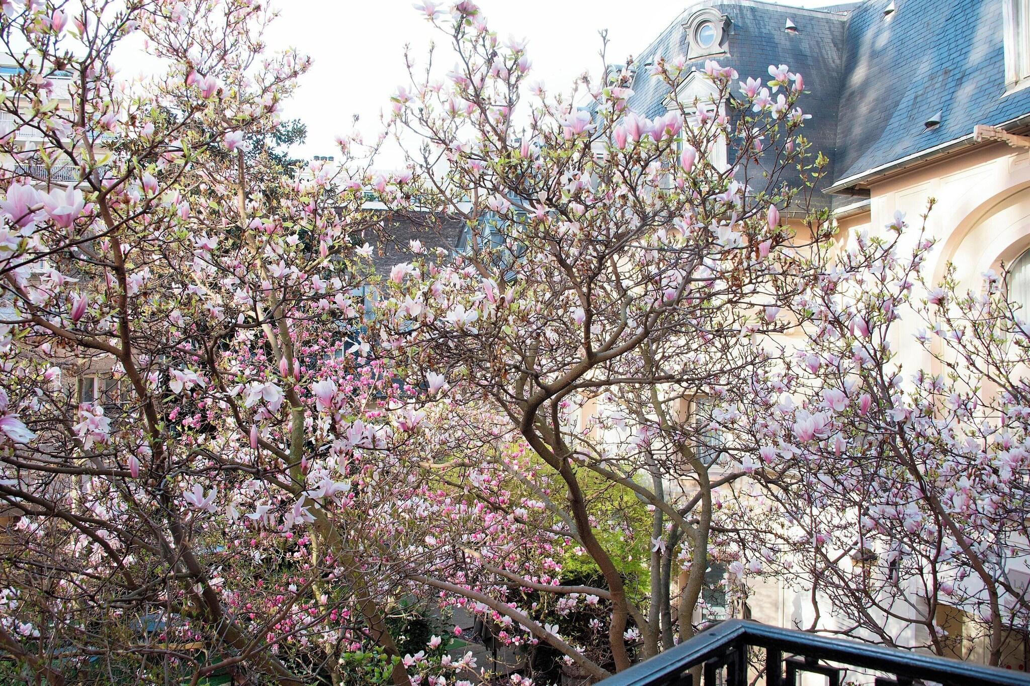 Suite Garden View