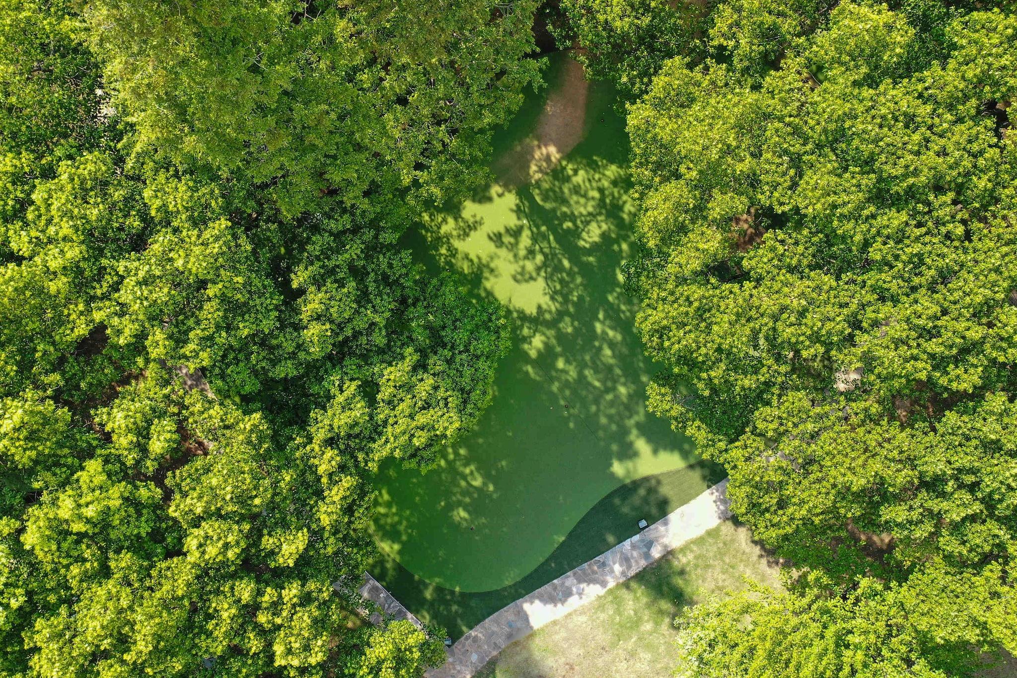 Double Deluxe King Bed