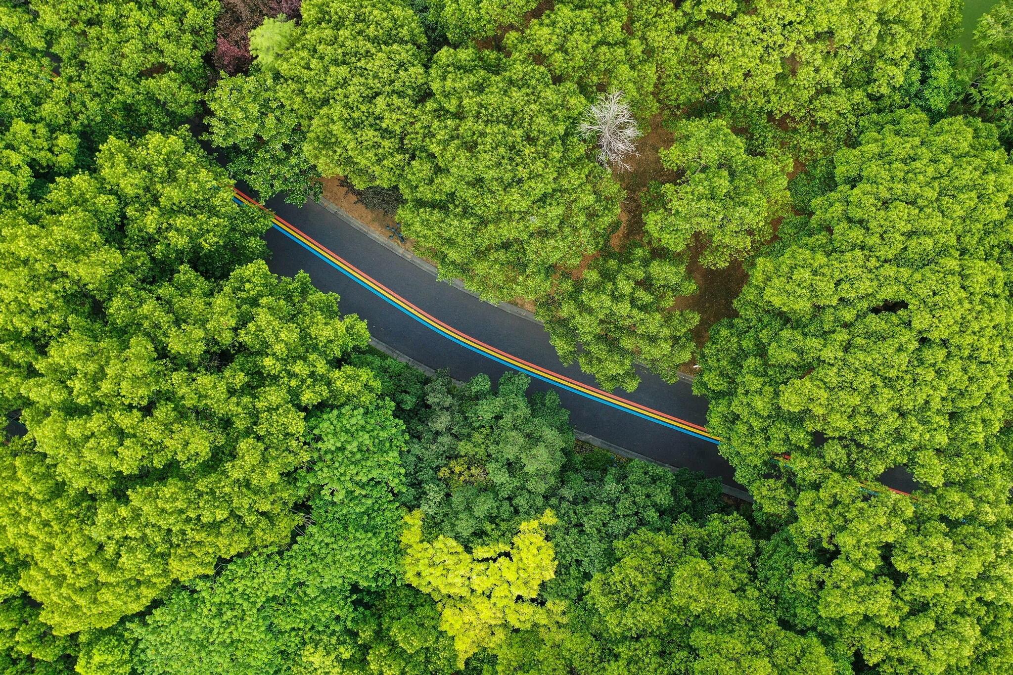 Double Deluxe Garden View