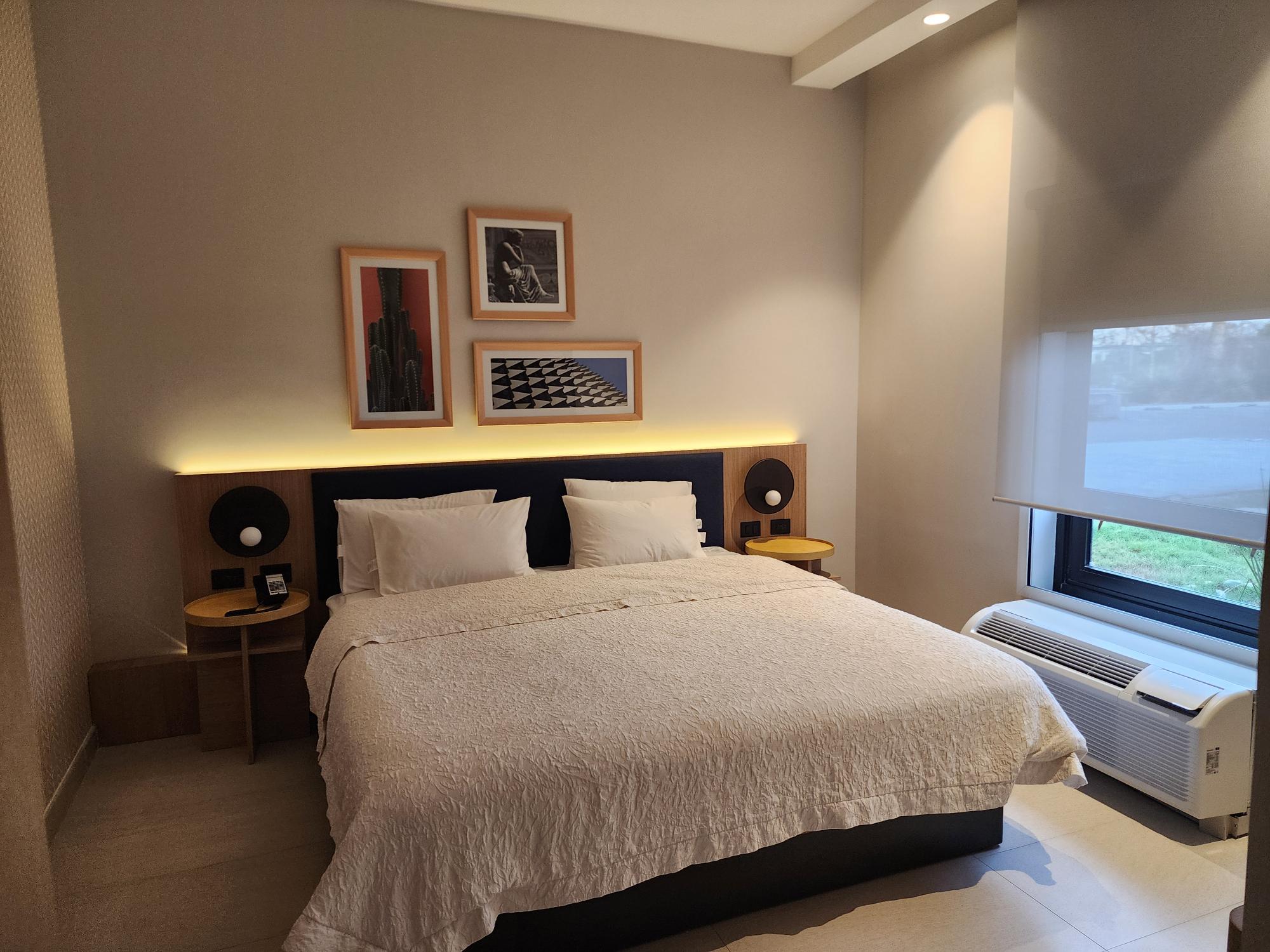 Suite King Bed One Bedroom 